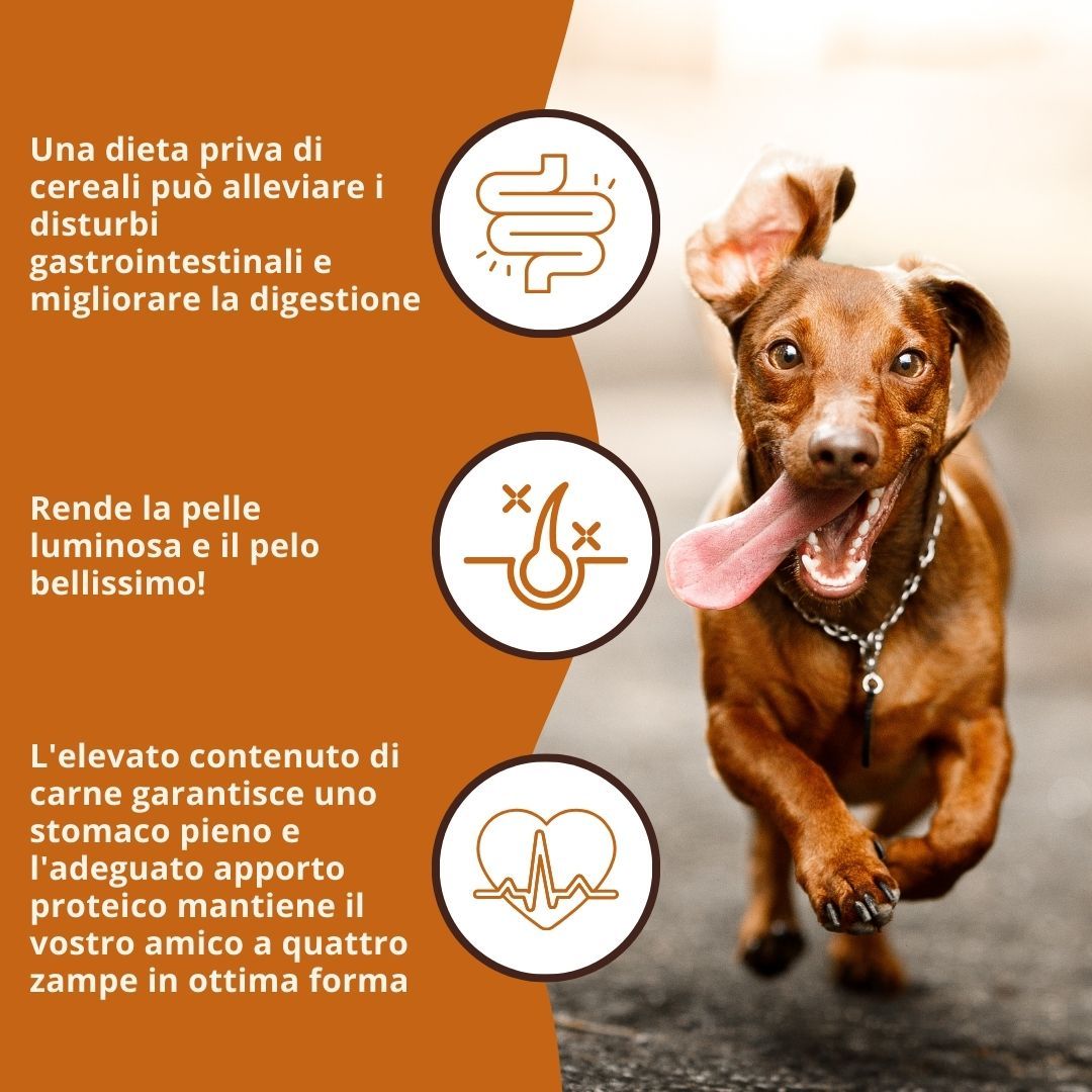 Cane che corre. Testo: Una dieta senza cereali può alleviare i disturbi gastrointestinali. Rende la pelle e il pelo luminosi. Alto contenuto di carne.