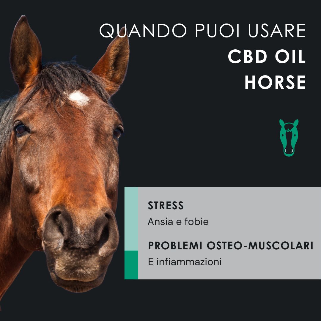 Confronto prima-dopo. Flaconi CBD Oil Horse. Nuovo look, stessa essenza.