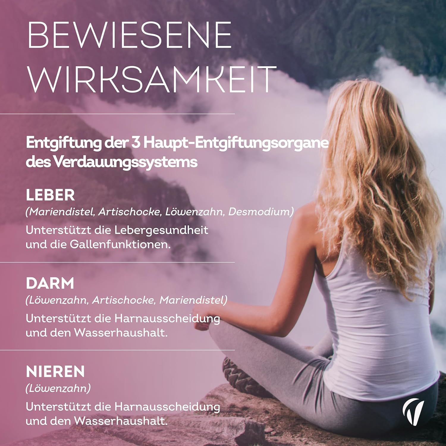 Donna seduta. Testo: Efficacia provata. Disintossicazione dei 3 principali organi di disintossicazione. Fegato, Intestino, Reni.