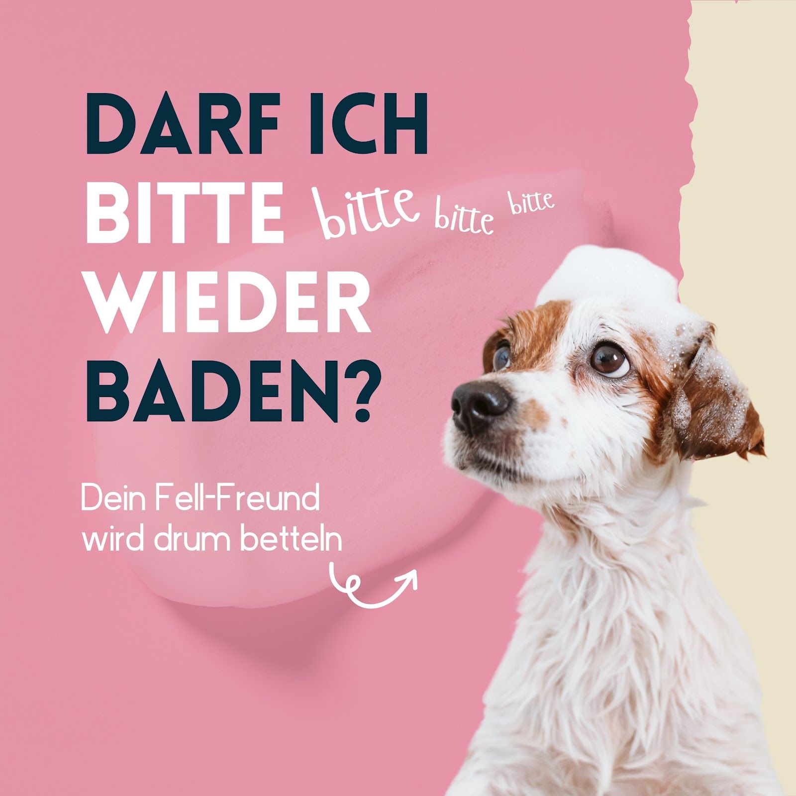 Cane con schiuma. Testo: "DARF ICH BITTE WIEDER BADEN?" e "Dein Fell-Freund wird drum betteln". Sfondo rosa.