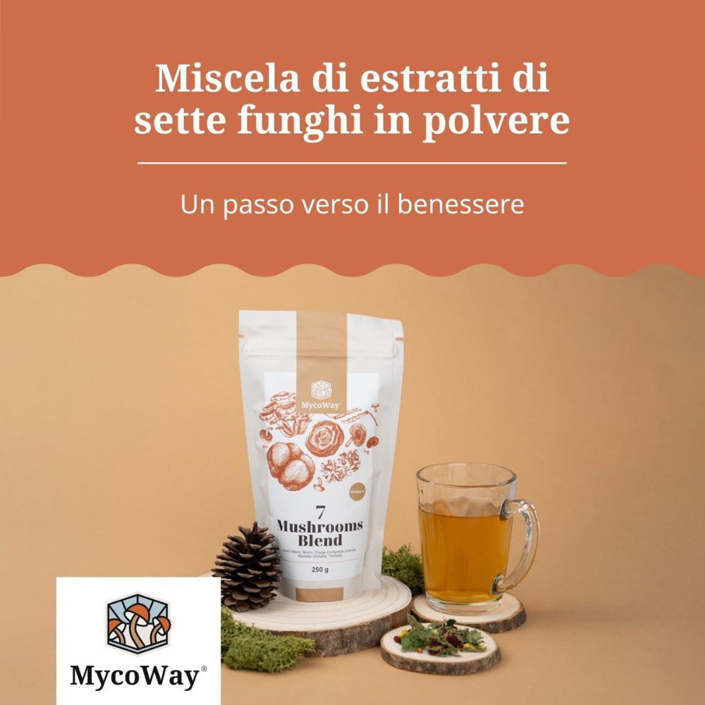 Confezione del prodotto, tazza di tè, pigna, fette di legno. Testo: Miscela di estratti di sette funghi in polvere.
