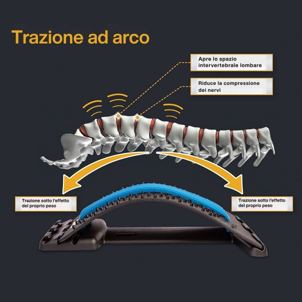 Rappresentazione grafica della colonna vertebrale e del dispositivo per stretching schiena. Con inserto blu.