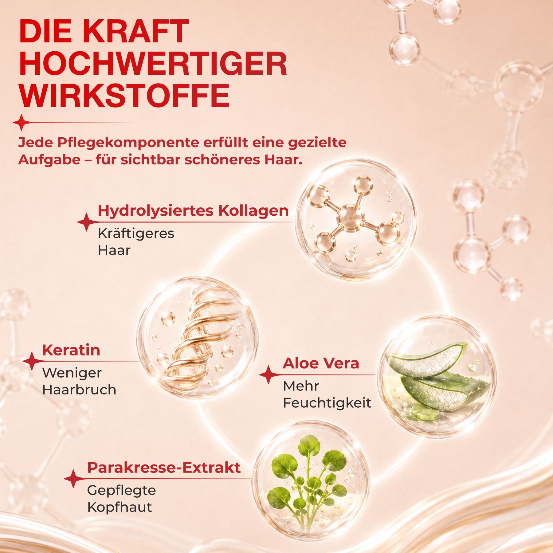 Grafica con quattro ingredienti per la cura dei capelli: collagene idrolizzato, cheratina, aloe vera ed estratto di crescione del Para.