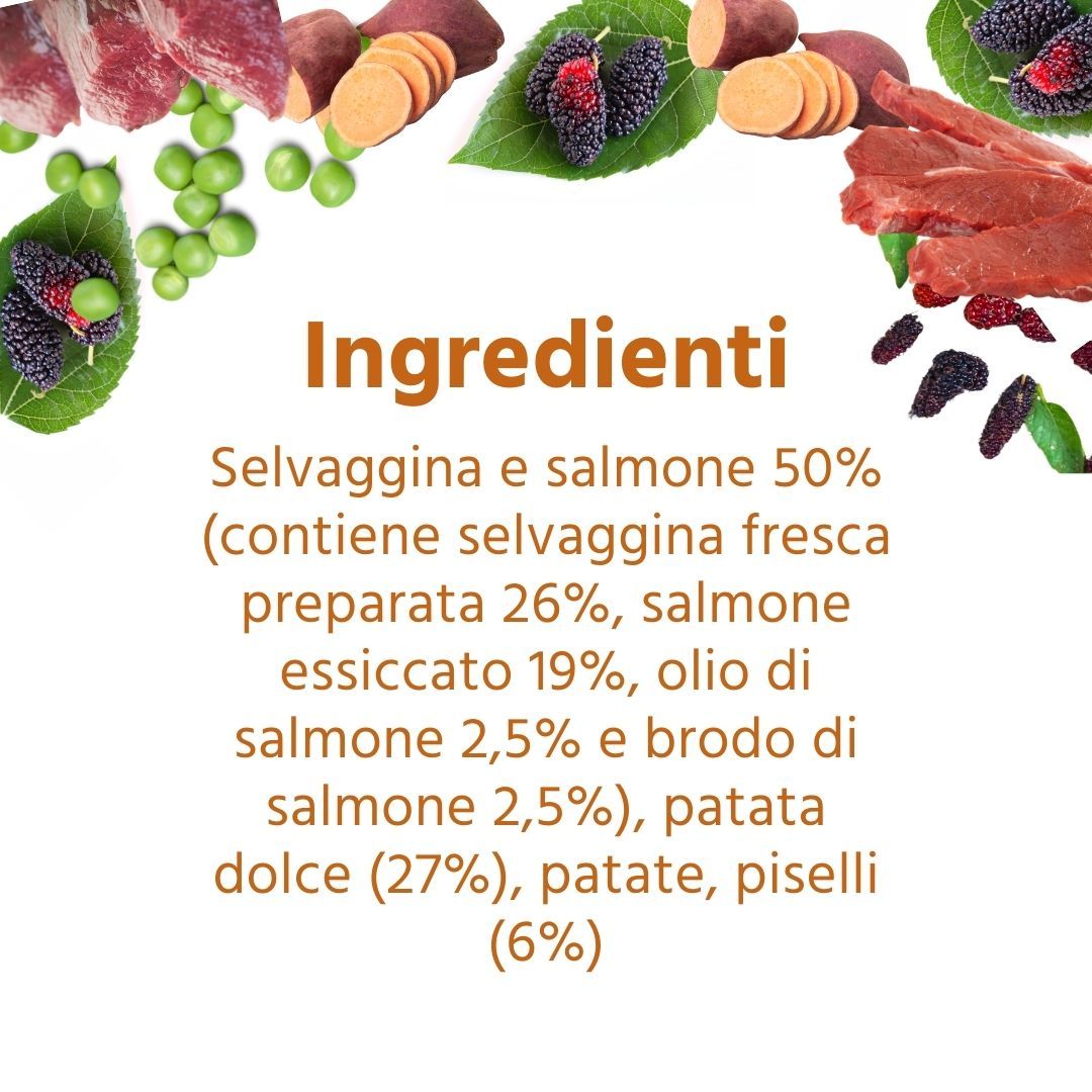 Testo con ingredienti: 50% selvaggina e salmone, 27% patate dolci, patate, piselli 6%.
