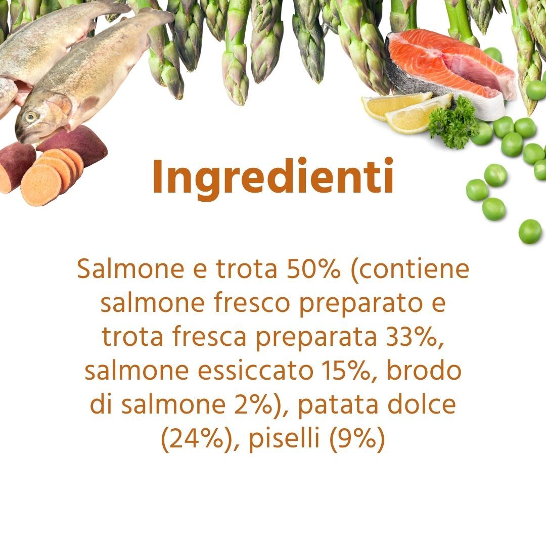 Lista ingredienti. Testo: Salmone e trota 50%, patata dolce 24%, piselli 9%.
