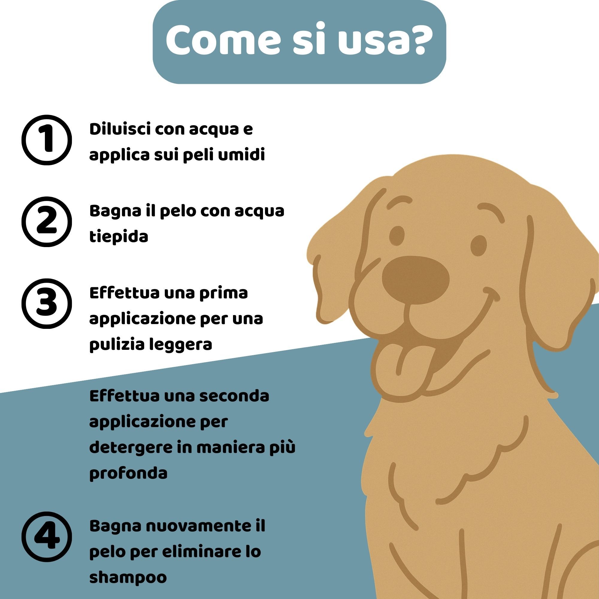 Illustrazione di un cane. Testo: Come si usa? 4 passaggi per applicare lo shampoo sul pelo bagnato.