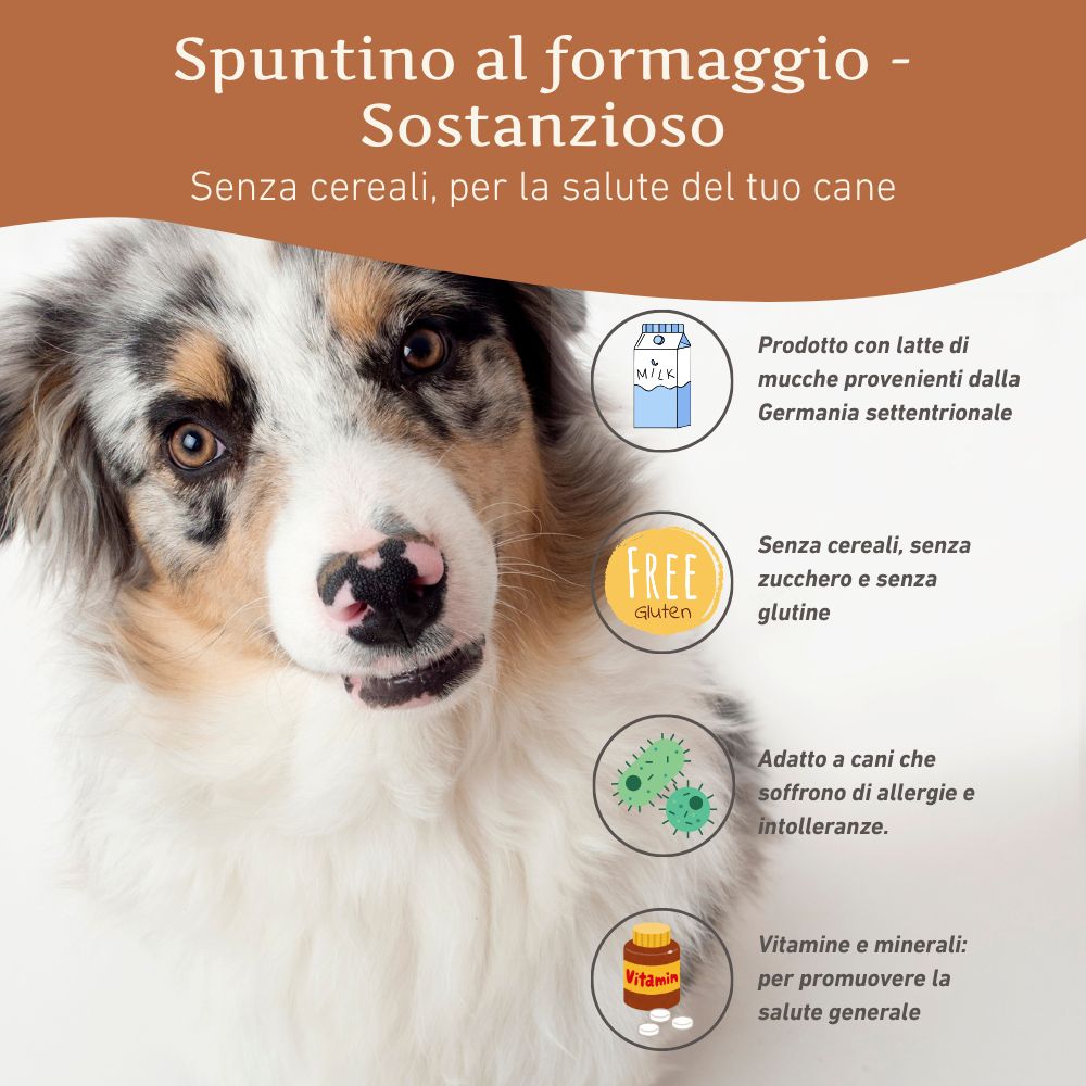 Cane con testo: Spuntino al formaggio - Sostanzioso. Senza cereali, per la salute del tuo cane. Illustrazioni.