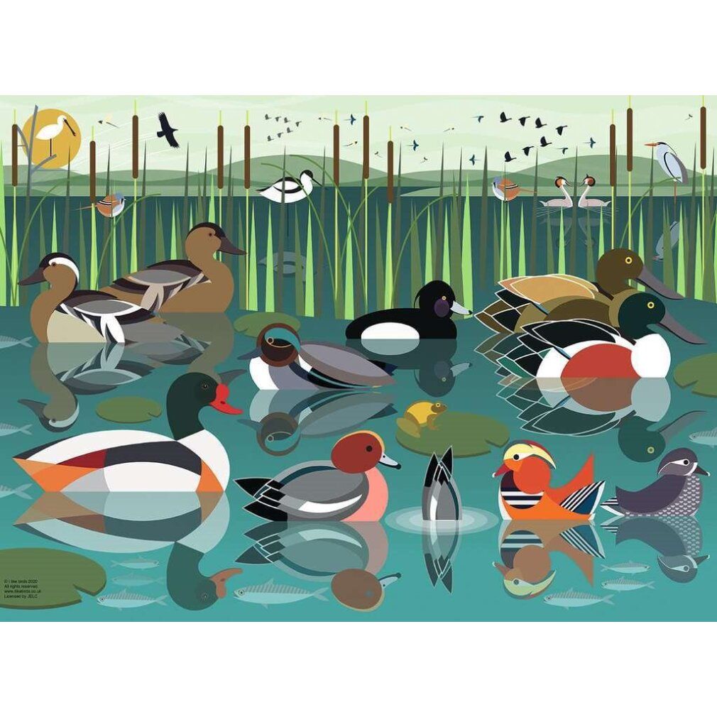 Puzzle con illustrazione di anatre. Anatre sull'acqua, canne, sole, uccelli sullo sfondo. Colori: verde, blu, marrone, arancione.