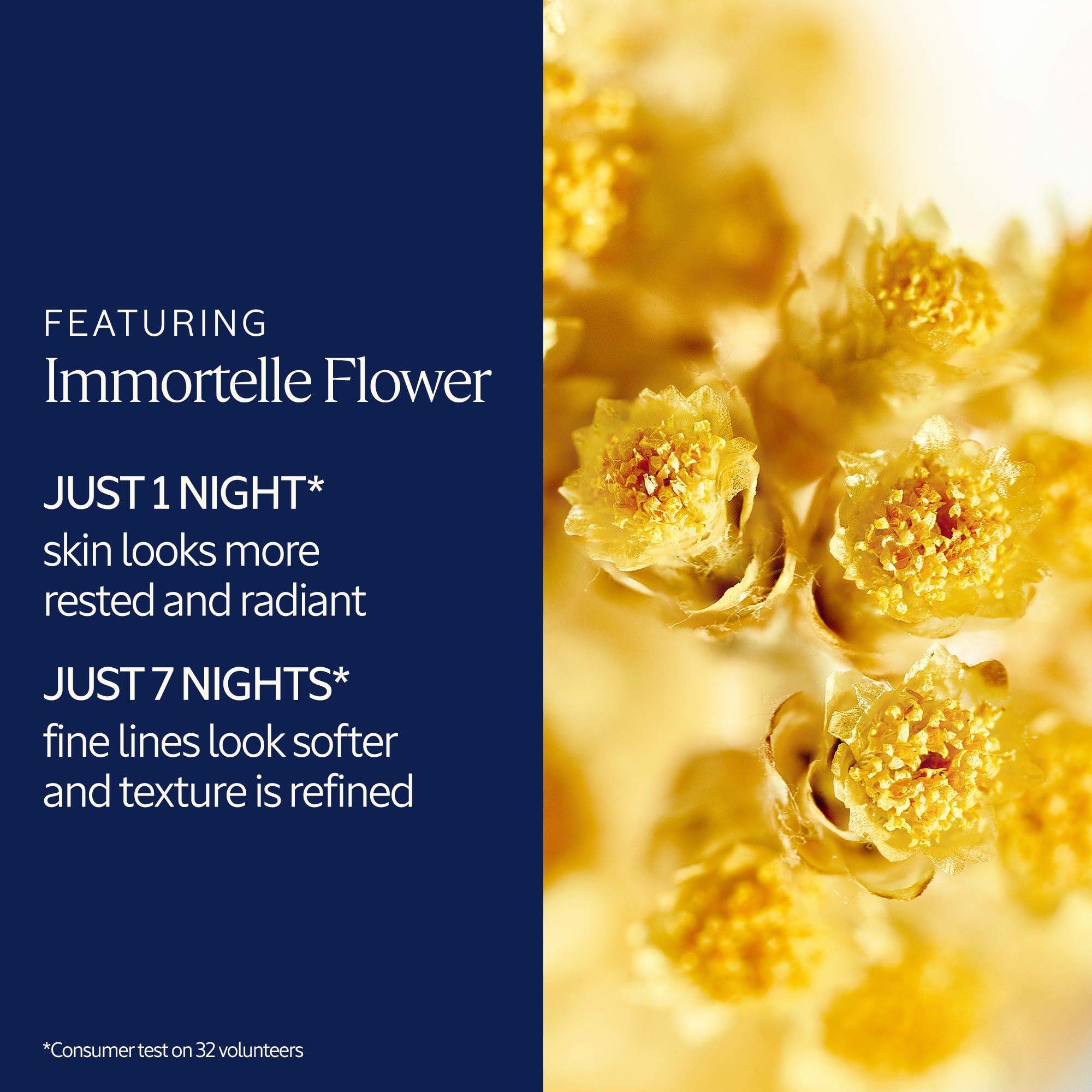 Primo piano di fiori gialli. Testo: Immortelle Flower, Just 1 Night, Just 7 Nights.