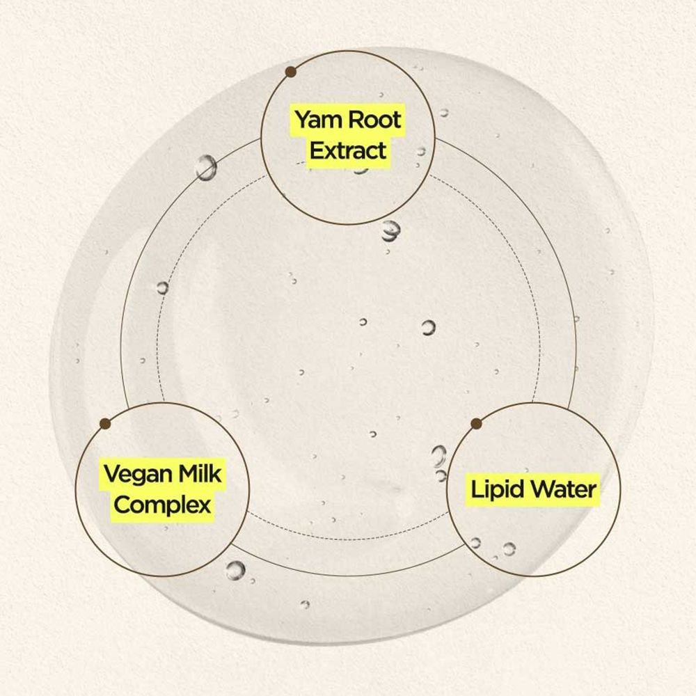 Rappresentazione circolare con tre elementi: Yam Root Extract, Vegan Milk Complex e Lipid Water. Segni gialli.