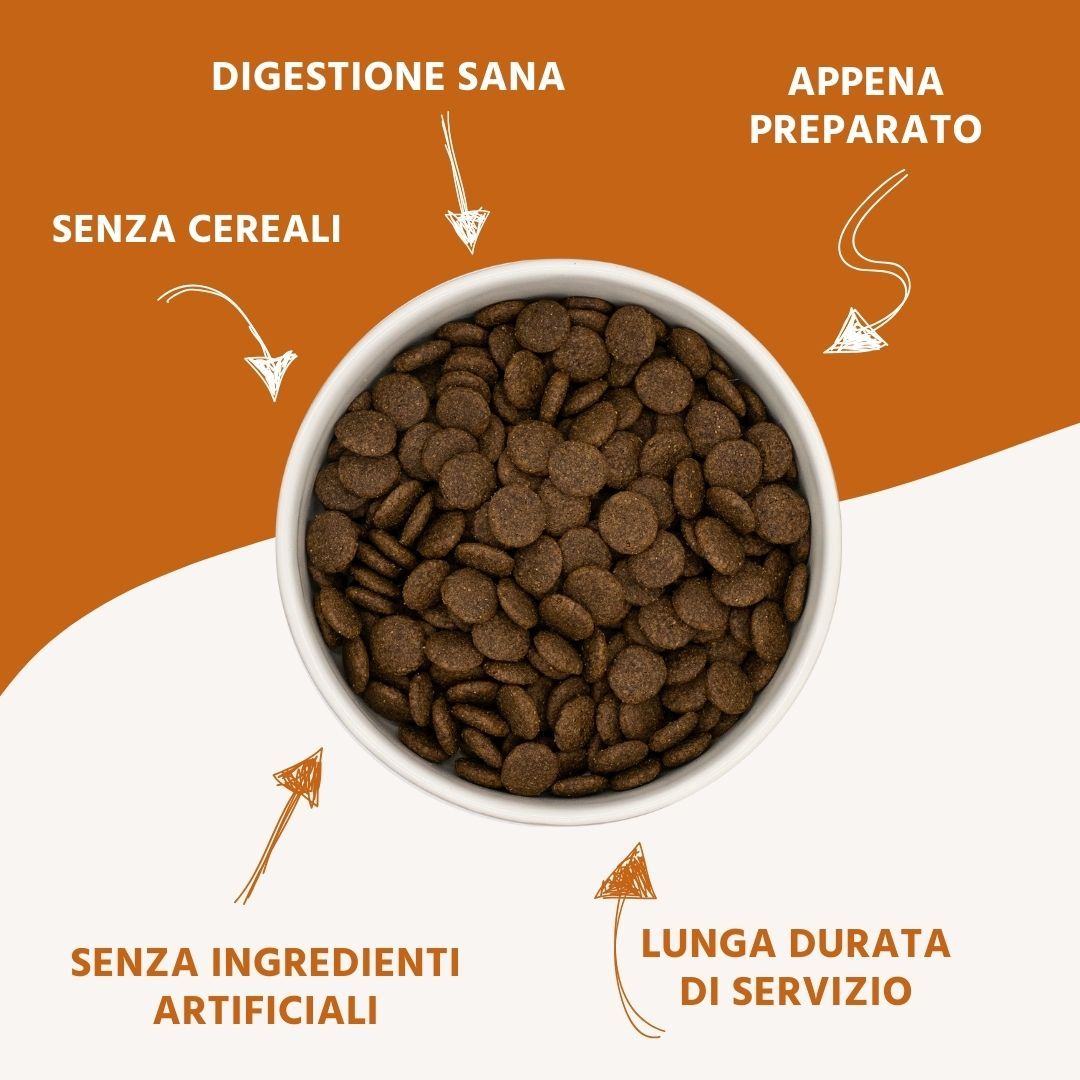 Ciotola di cibo secco. Testo: Senza Cereali, Digestione Sana, Senza Ingredienti Artificiali, Lunga Durata di Servizio, Appena Preparato.