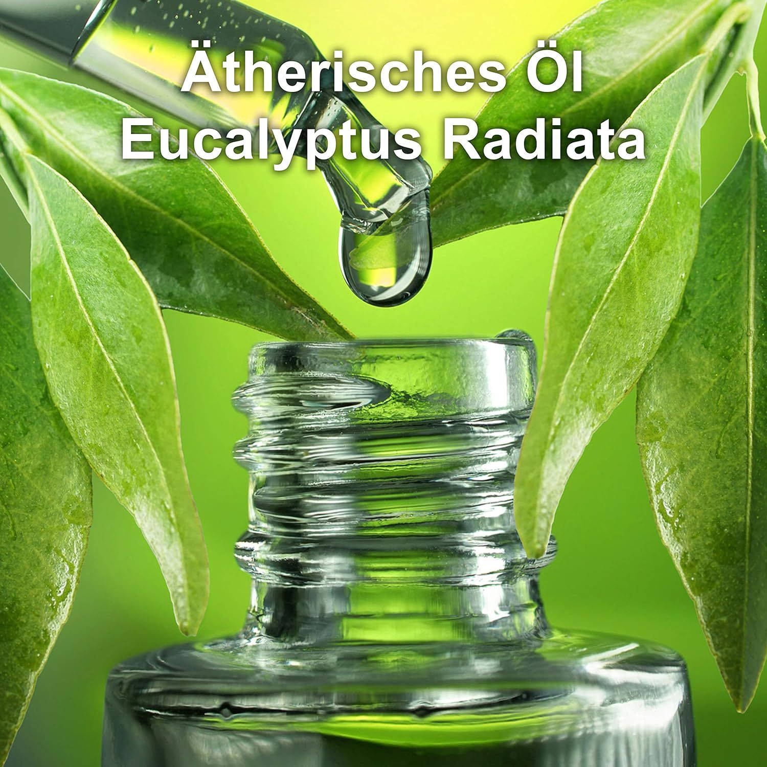 Flacone di vetro con olio essenziale. Gocce che cadono nel flacone. Foglie di eucalipto.