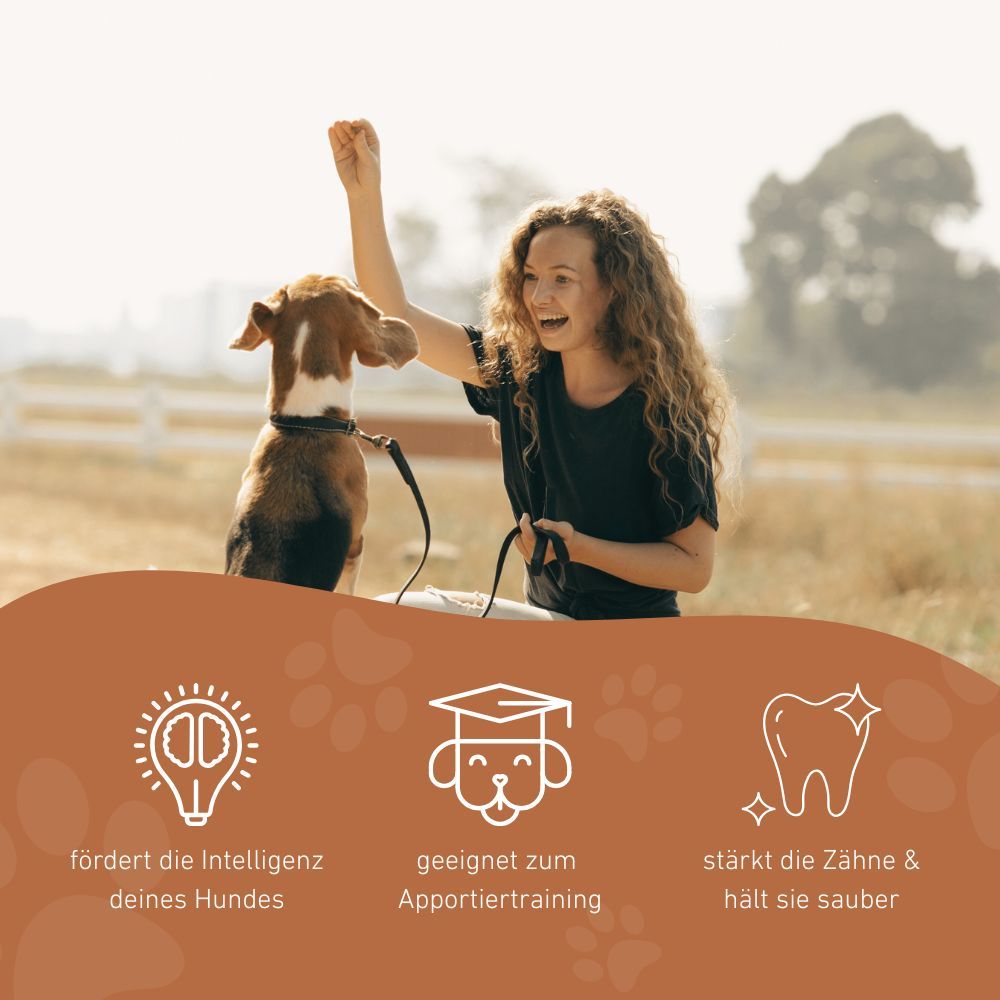 Donna e cane all'aperto. Testo: Promuove l'intelligenza, adatto all'addestramento al riporto, rafforza i denti. Grafici.