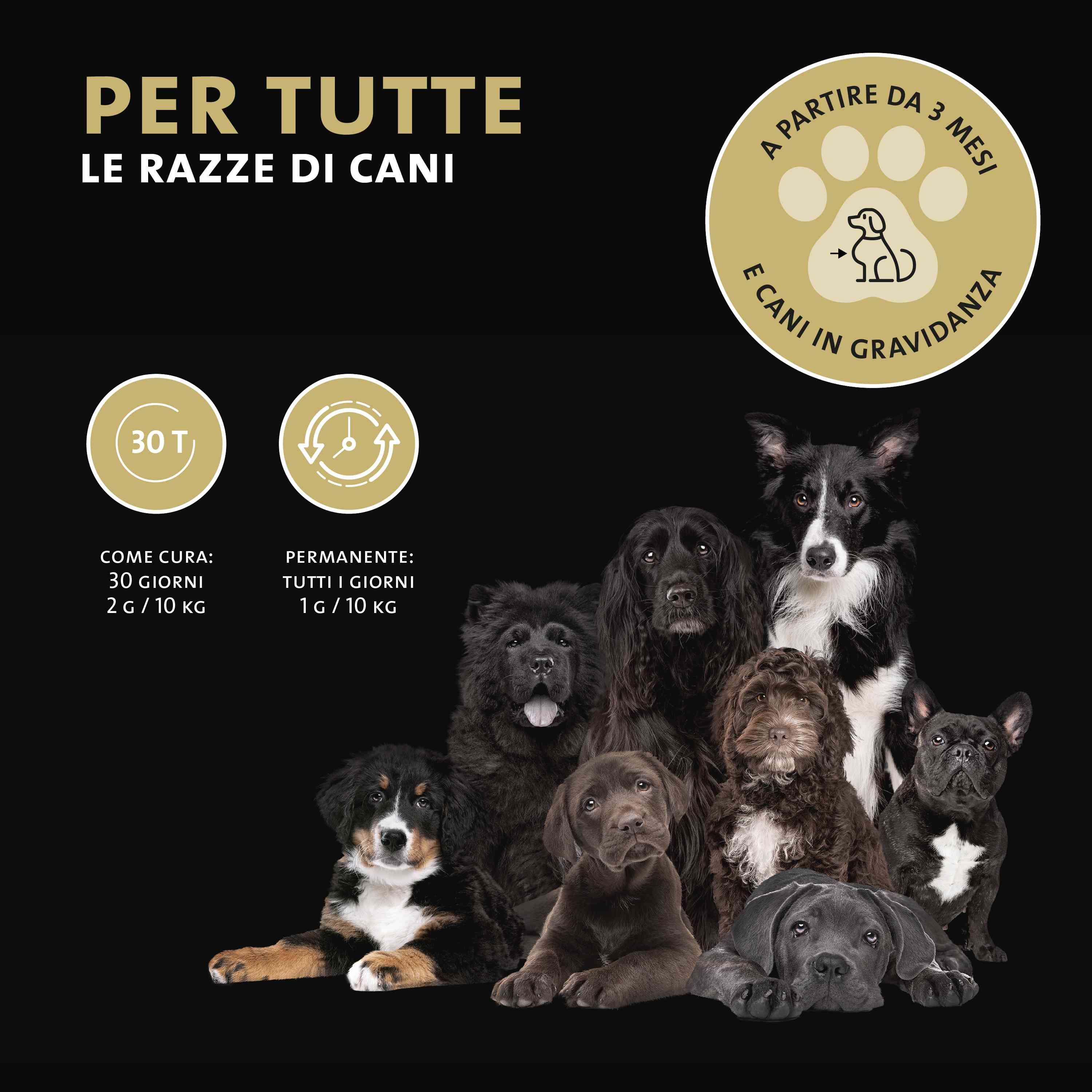 Diversi cani su sfondo nero. Testo: Per tutte le razze di cani, per cuccioli da 3 mesi e cagne in gravidanza.