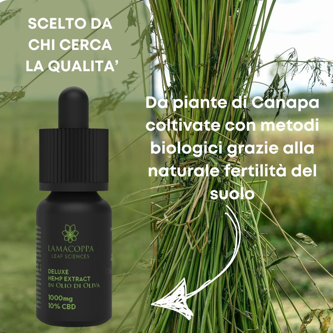 Olio CBD 10% Broad Spectrum Senza THC - Utile per Rilassamento e Sonno