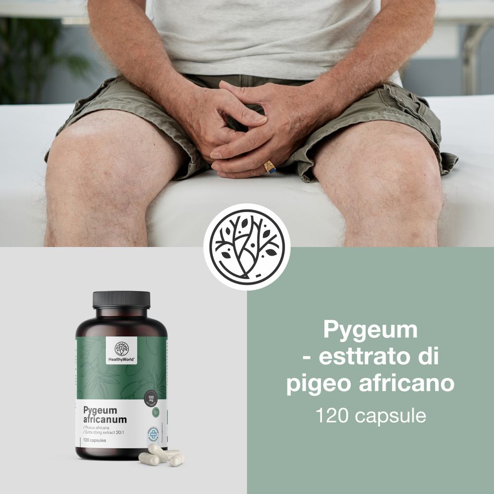 Flacone e capsule. Testo: Pygeum - estratto di pigeo africano, 120 capsule. Logo: HealthyWorld.