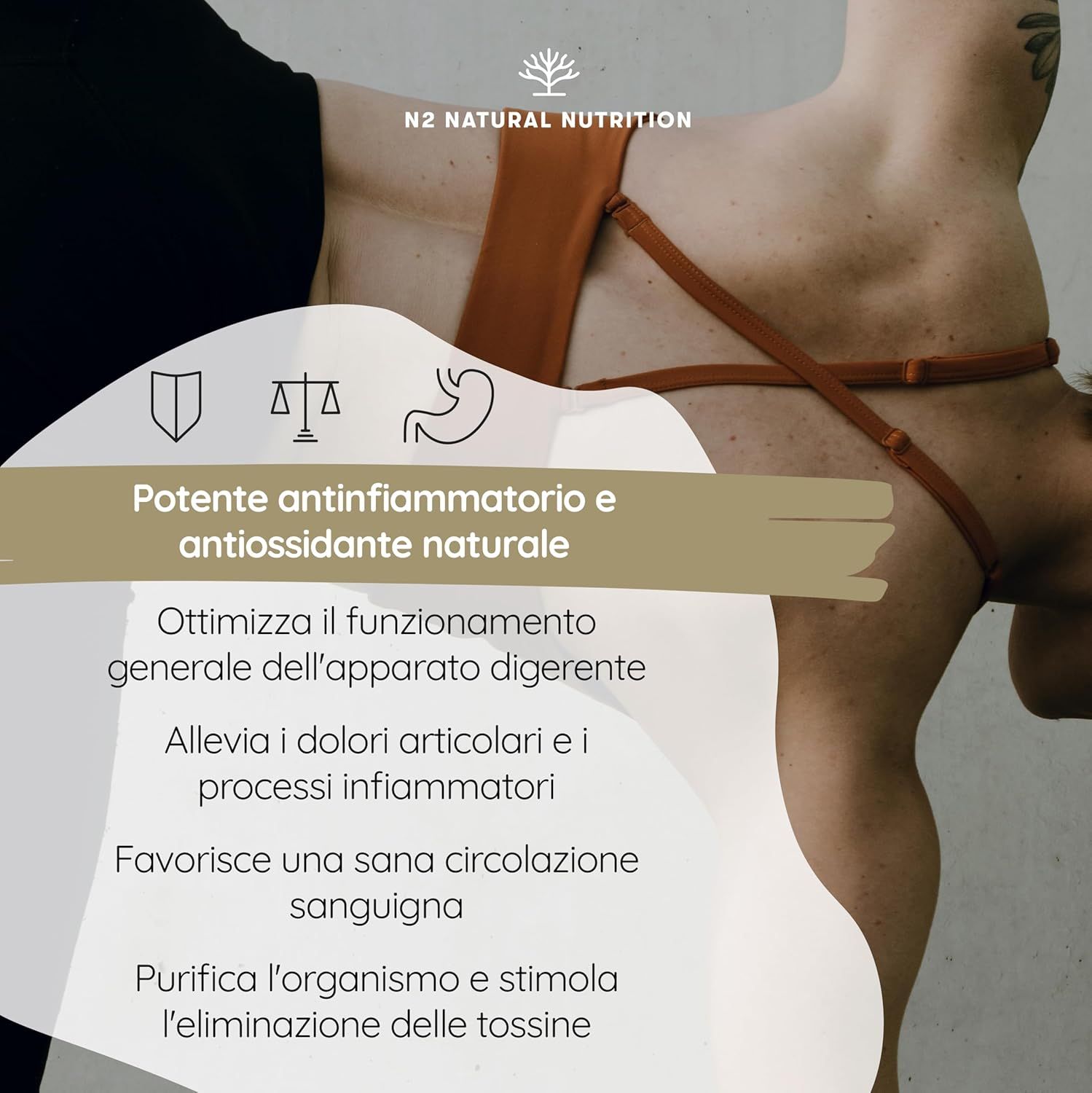 Testo con titolo: Potente antinfiammatorio e antiossidante naturale. Altri testi sugli effetti sul corpo.