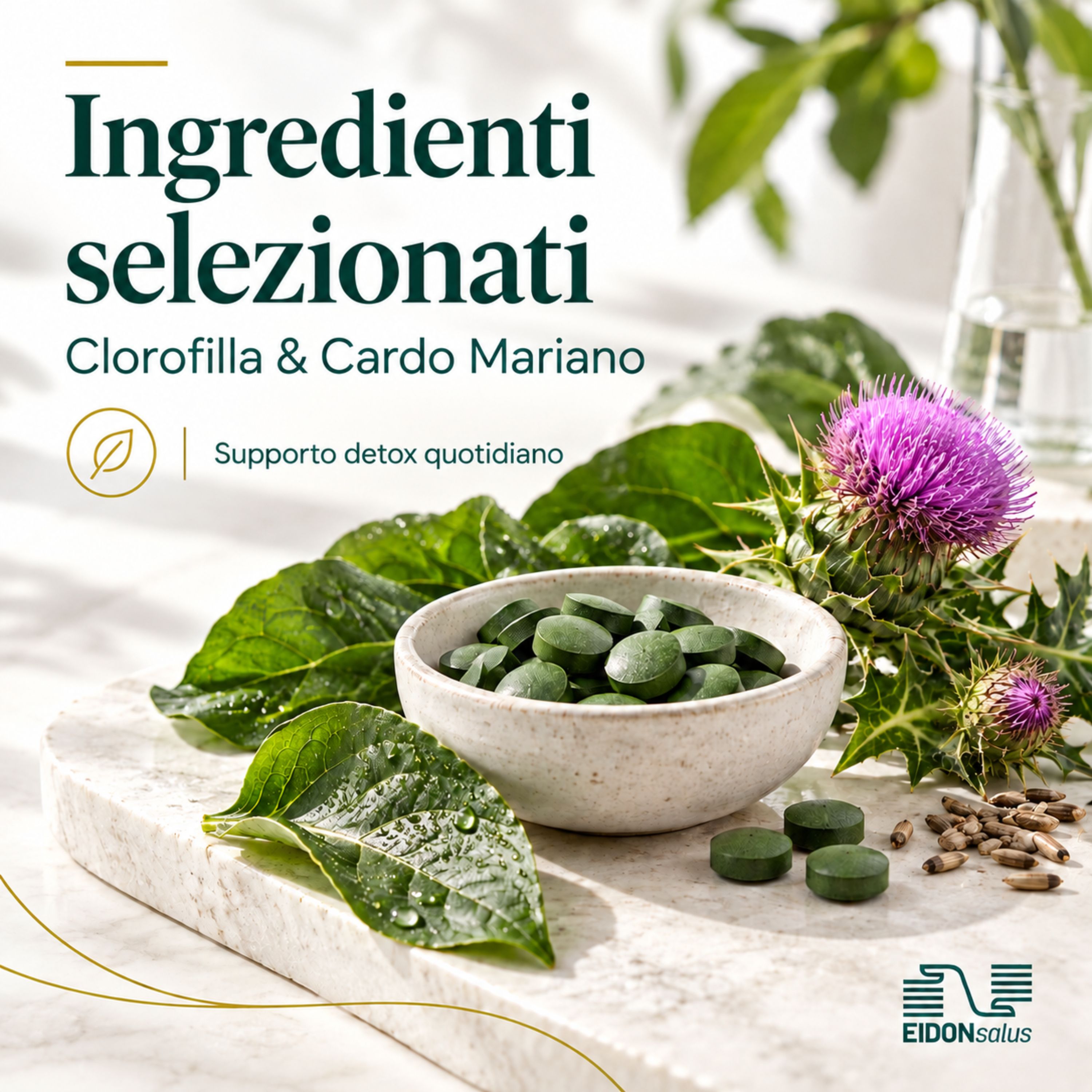 Compresse verdi in una ciotola, circondate da foglie e cardo. Ingredienti: Clorofilla & Cardo Mariano.
