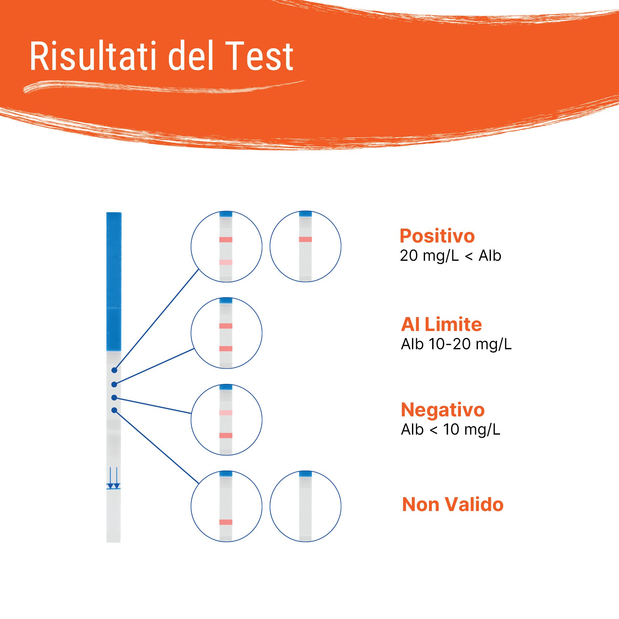Test di Funzionalità Renale (Albumina) Patris Health®