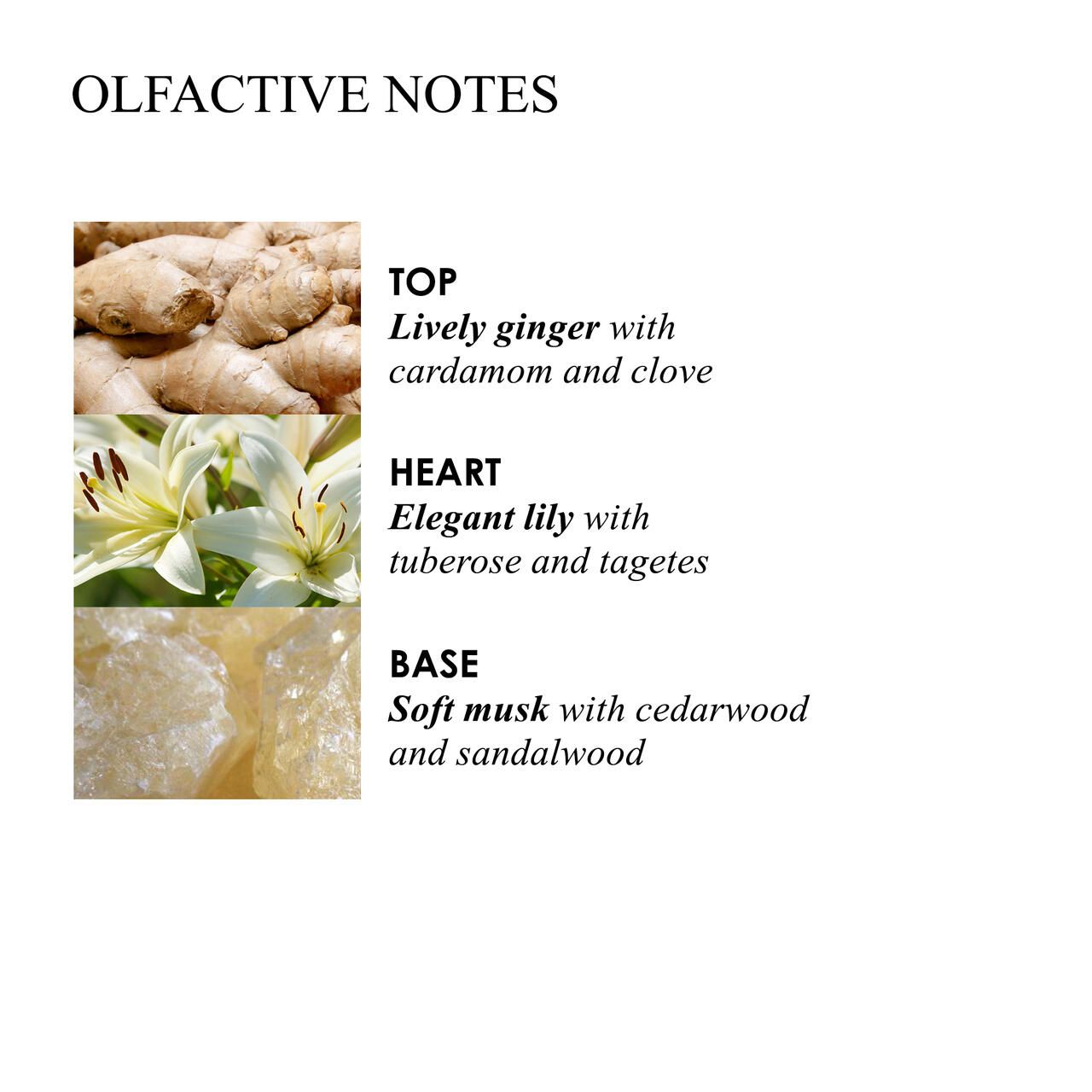 Tabella di testo con note olfattive. Ingredienti: zenzero, giglio, muschio, legno di cedro e legno di sandalo.