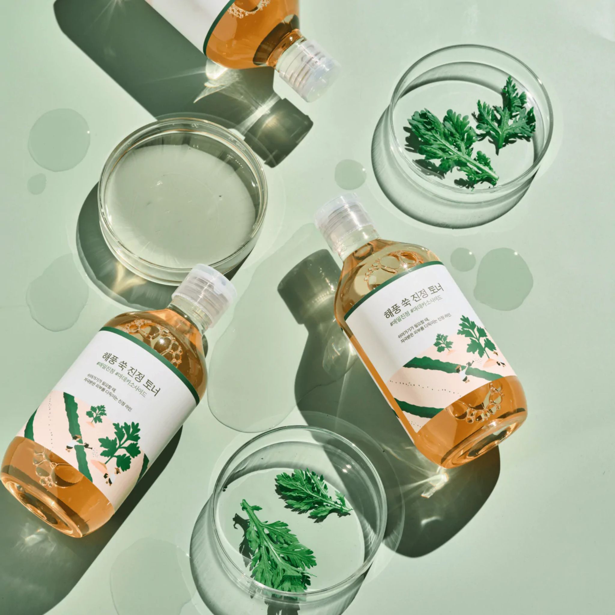 Diverse bottiglie con liquido e coppette con foglie verdi. Scritta sulla bottiglia.