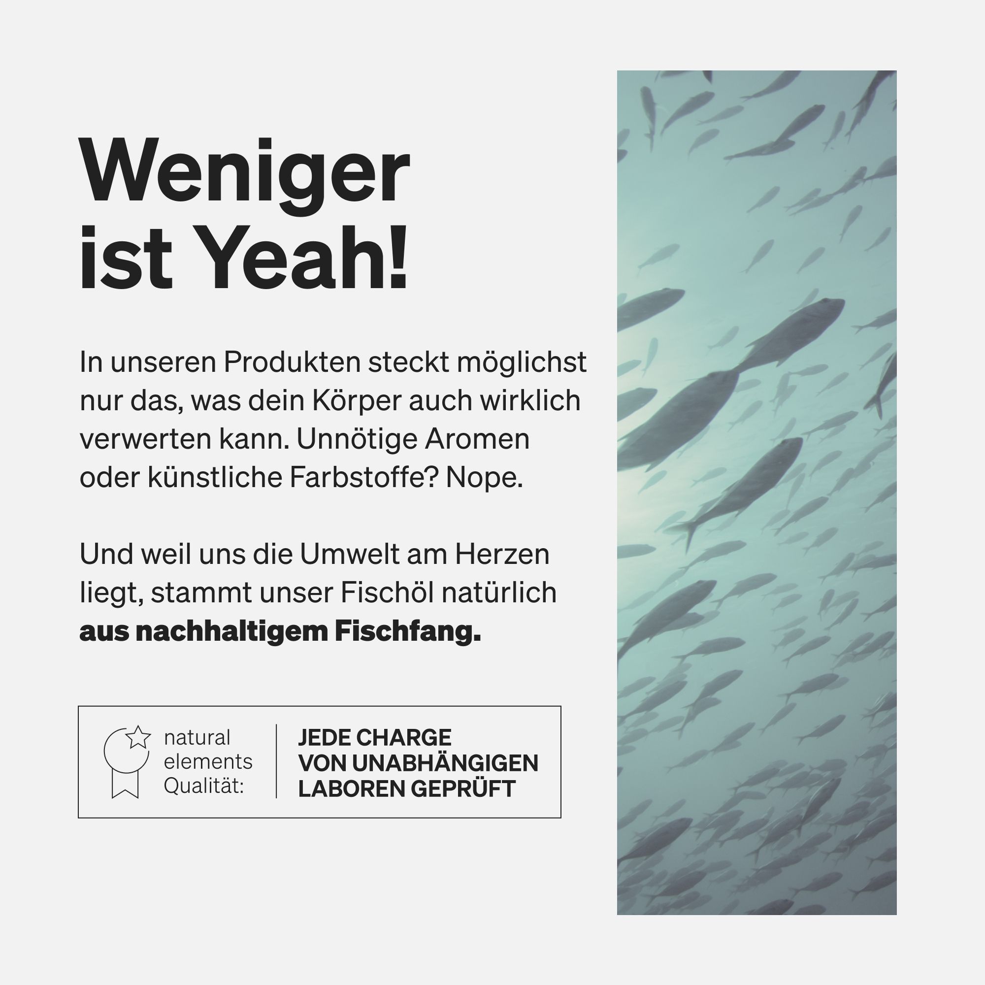 Testo su sfondo bianco. Titolo: Weniger ist Yeah! Testo sulla pesca sostenibile.
