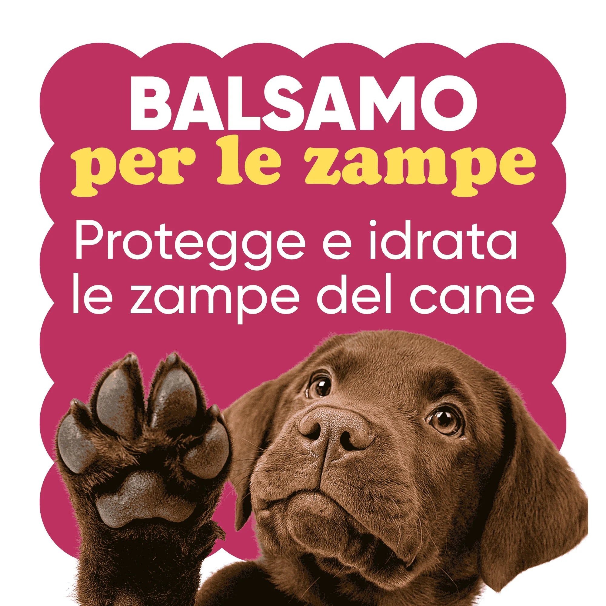 Testo: Balsamo per le zampe. Protegge e idrata le zampe del cane. Un cucciolo alza una zampa.