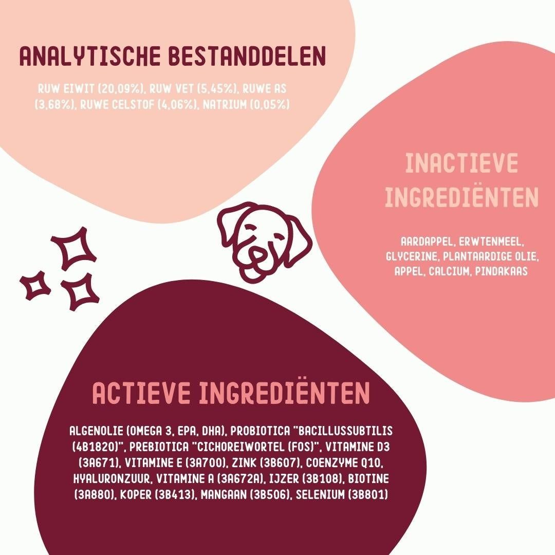 Composizione degli integratori per cani: Ingredienti attivi e inattivi.