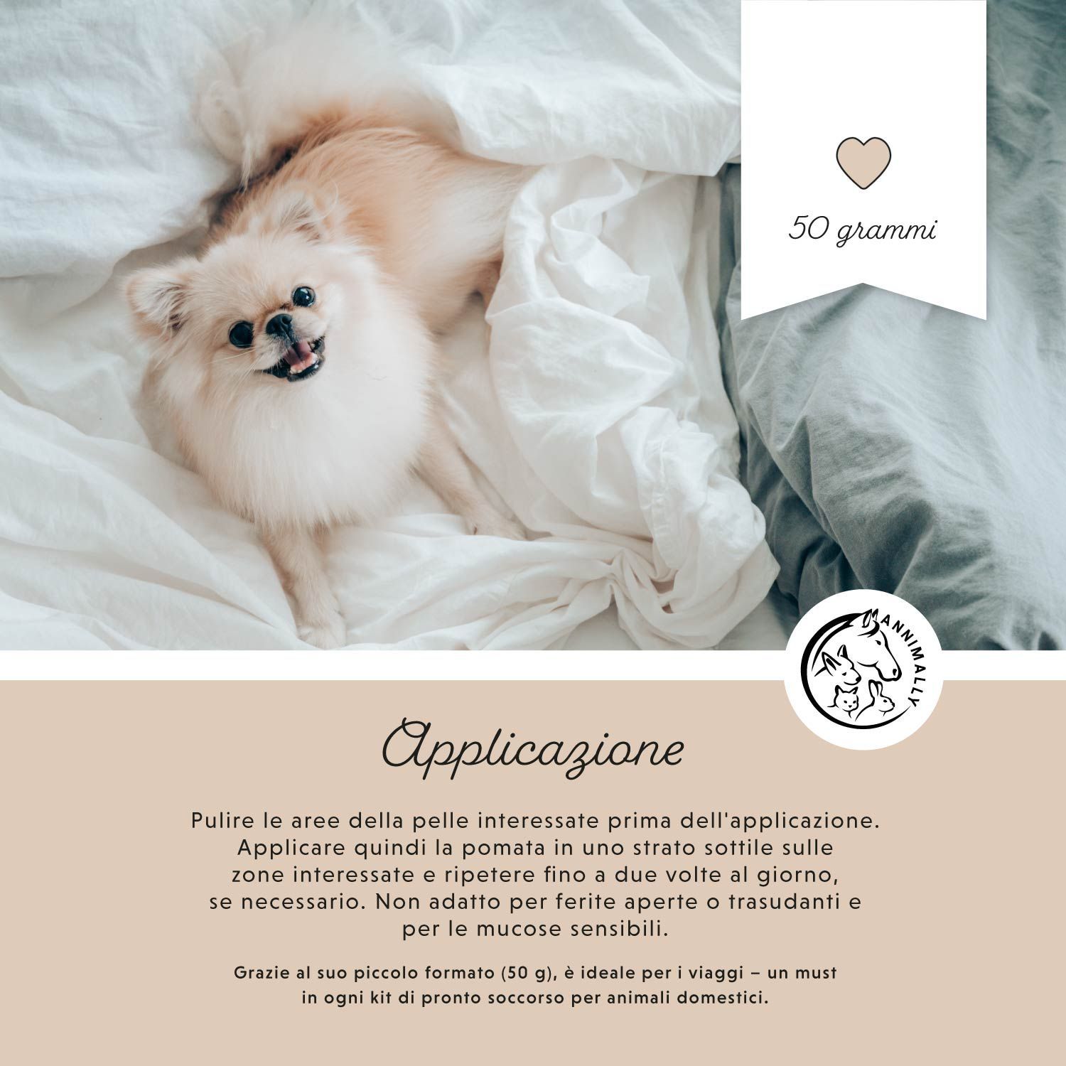 Testo su sfondo marrone: Applicazione. Cane sul letto.