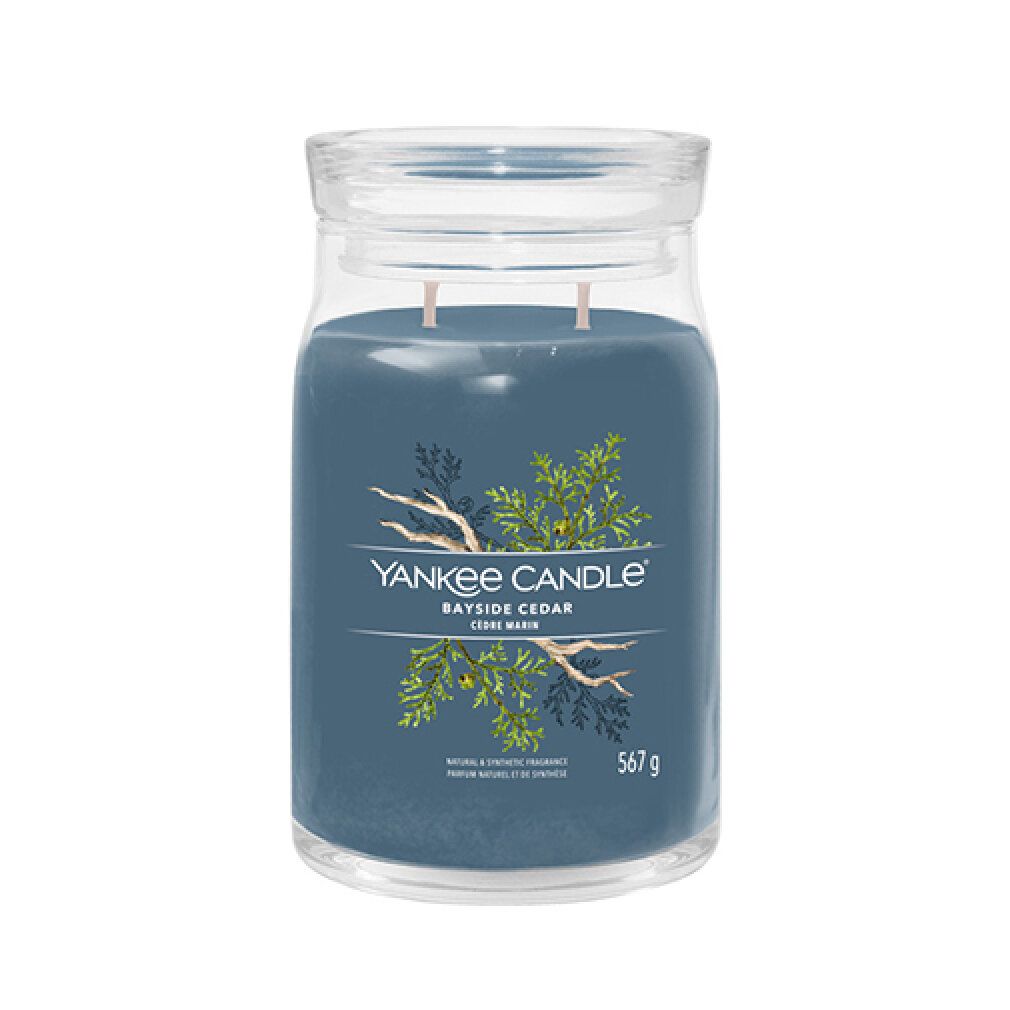 Candela profumata blu in vaso con coperchio. Scritta: Yankee Candle Bayside Cedar, 567 g. Due stoppini.