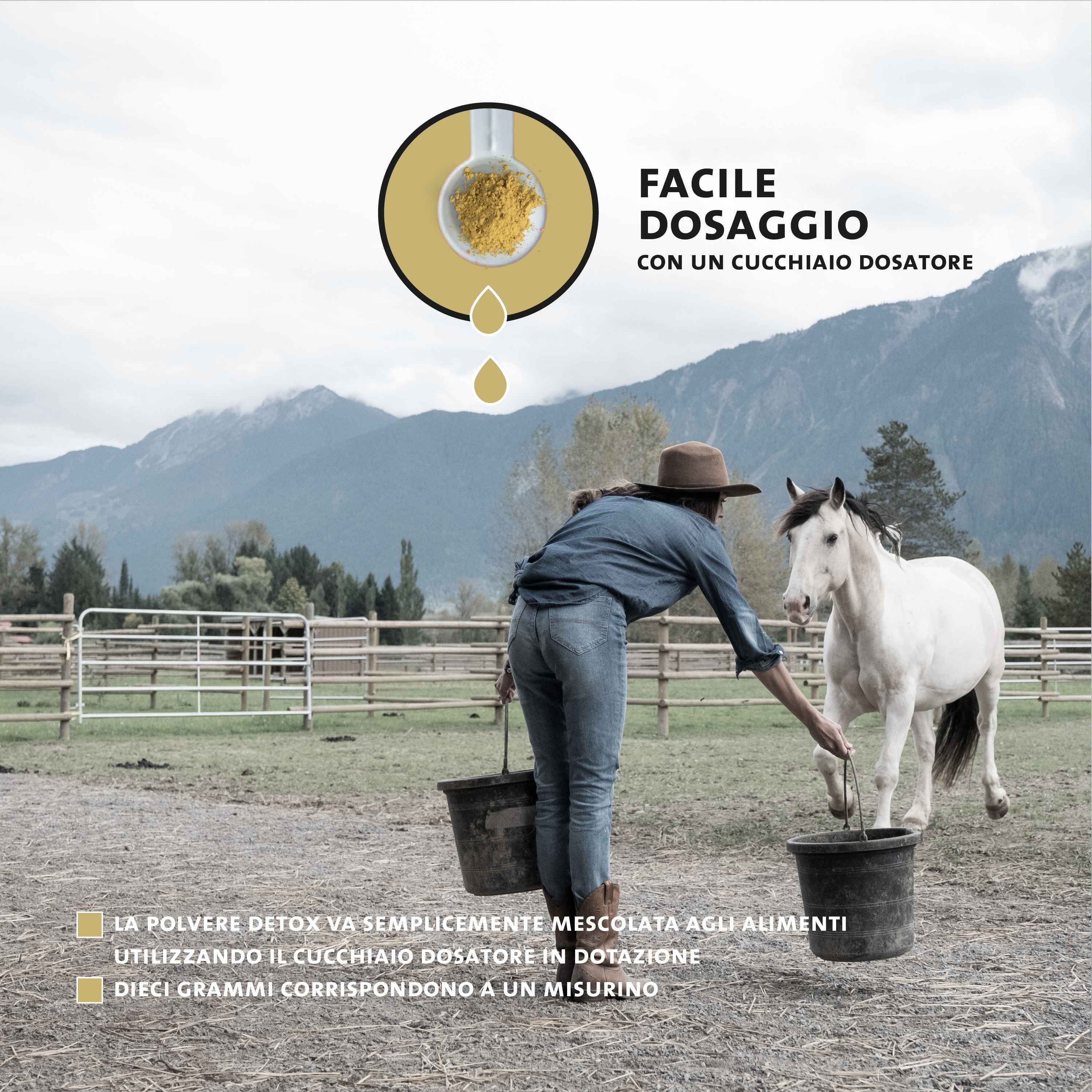 Immagine di cavallo con testo su dosaggio e durata applicazione.