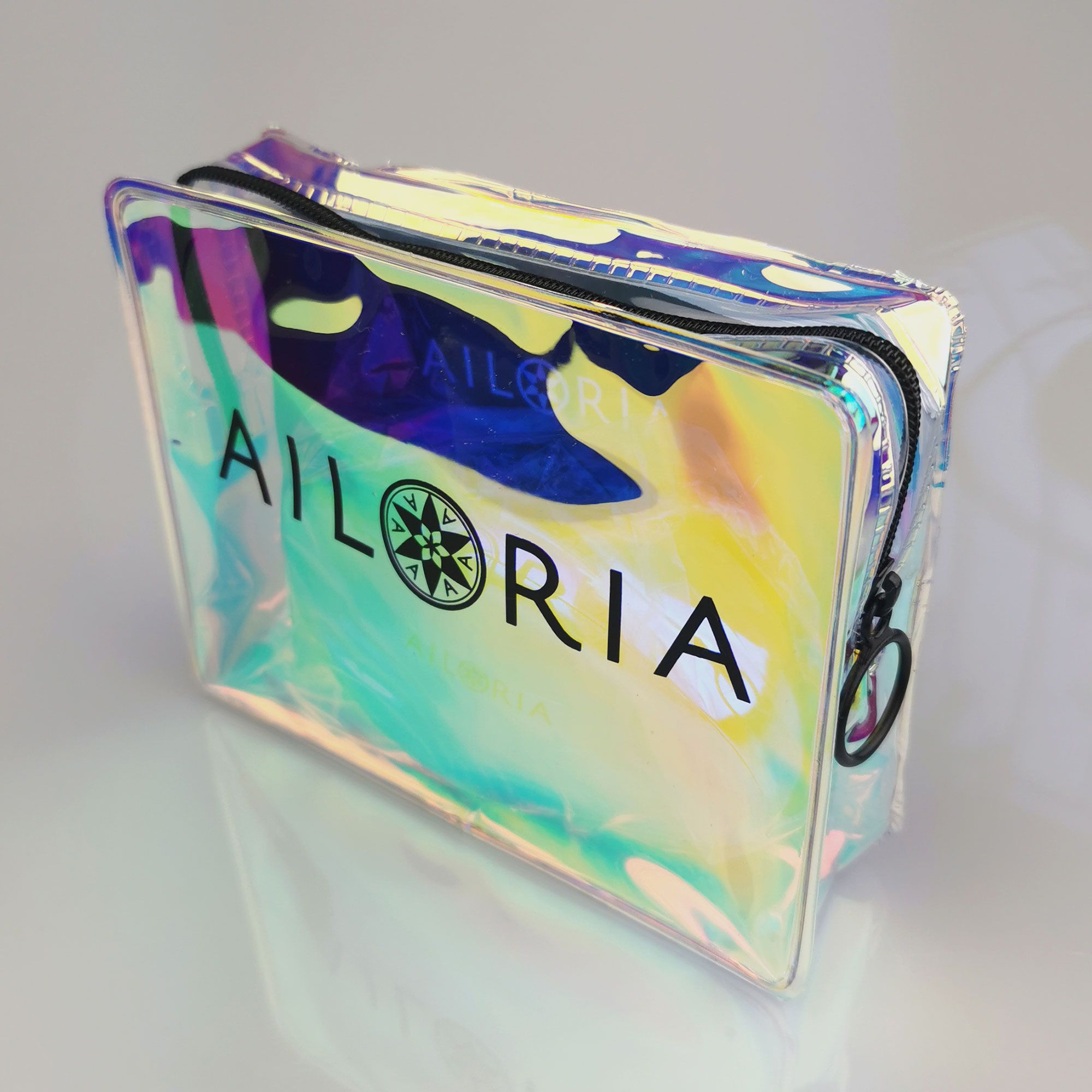 Borsa trasparente con cerniera. Logo AILORIA e simbolo della bussola.