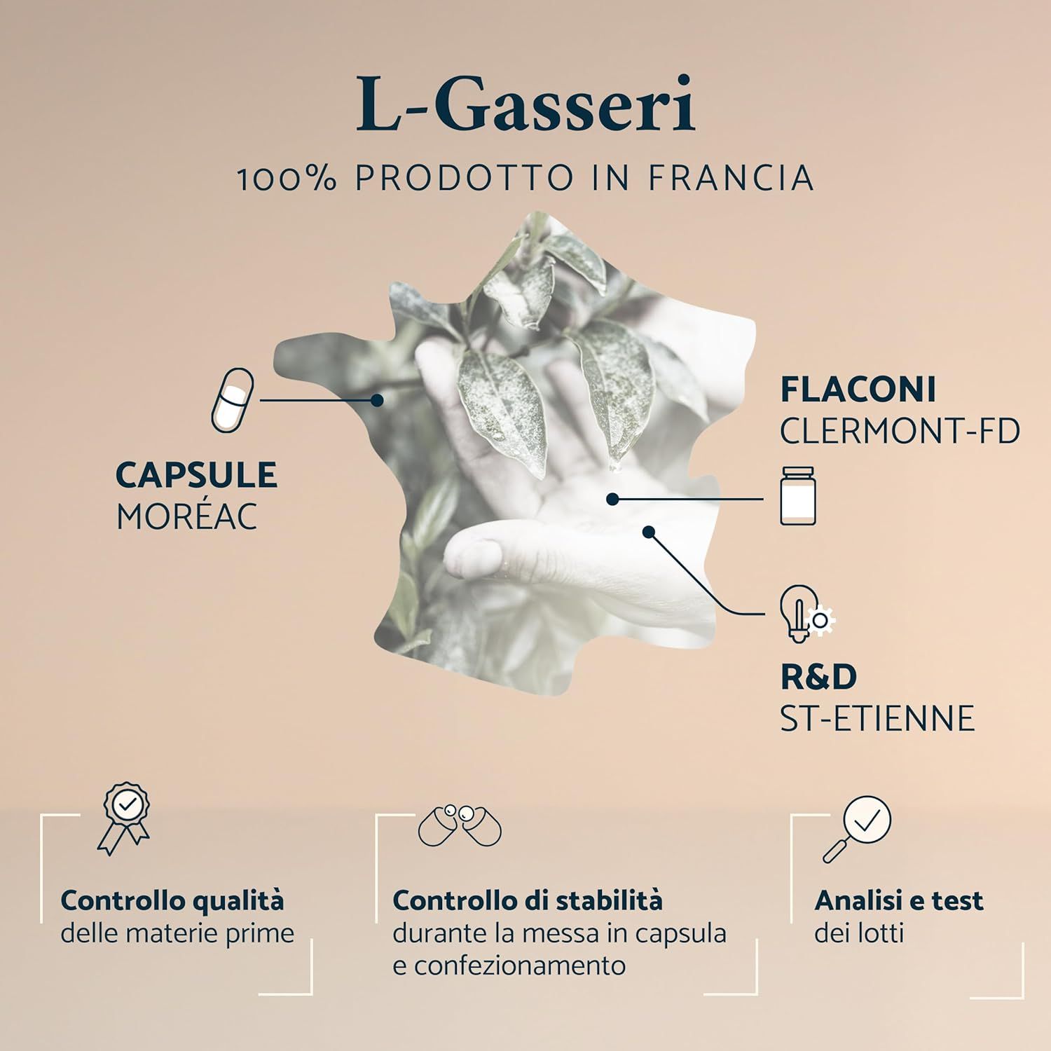 Apyforme Ceppi Batterici Lactobacillus Gasseri