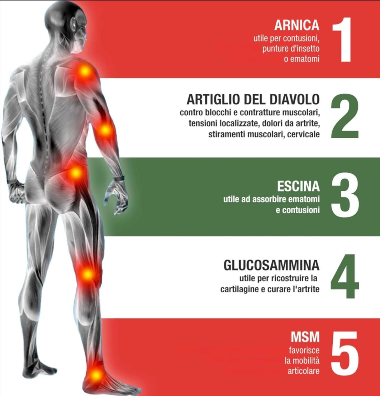 Modello anatomico con punti di dolore evidenziati. Testo: Arnica, Artiglio del diavolo, Escina, Glucosammina, MSM.