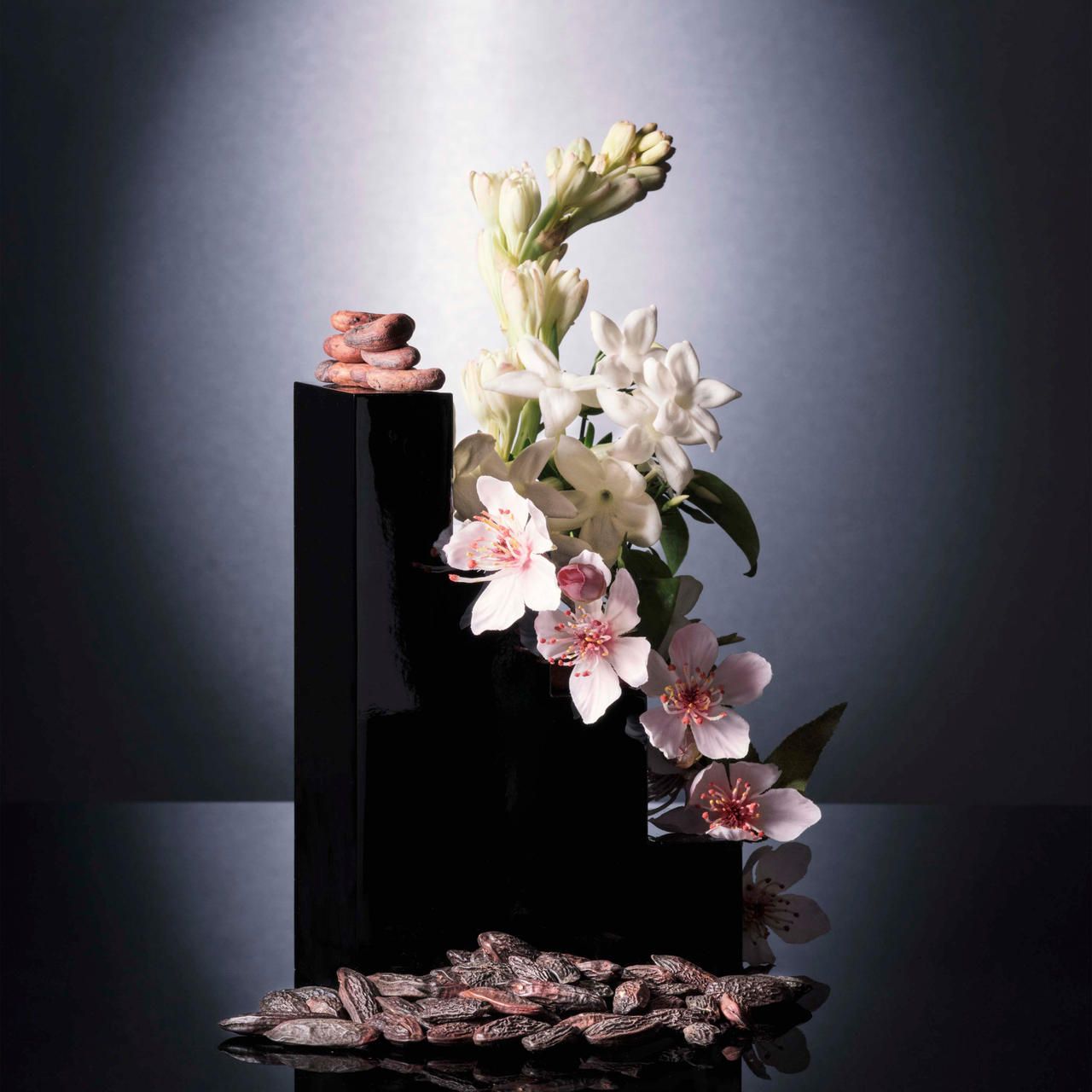 Forma geometrica nera con fiori e semi. Sfondo scuro.