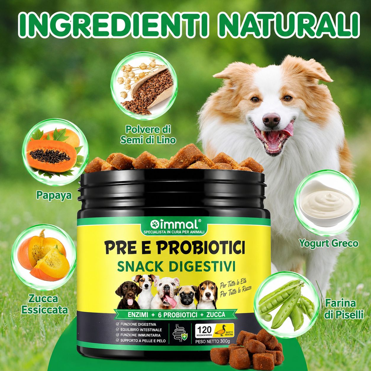 Contenitore di croccantini circondato da ingredienti: papaya, zucca, semi di lino, yogurt, piselli. Testo: Pre & Probiotici Snack Digestivi.