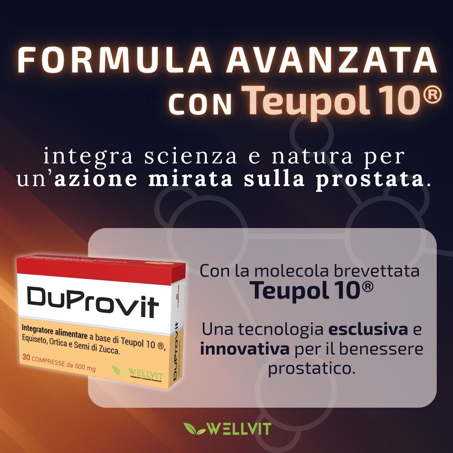 Wellvit | Integratore per la Prostata e Vie Urinariecon Teupol 10