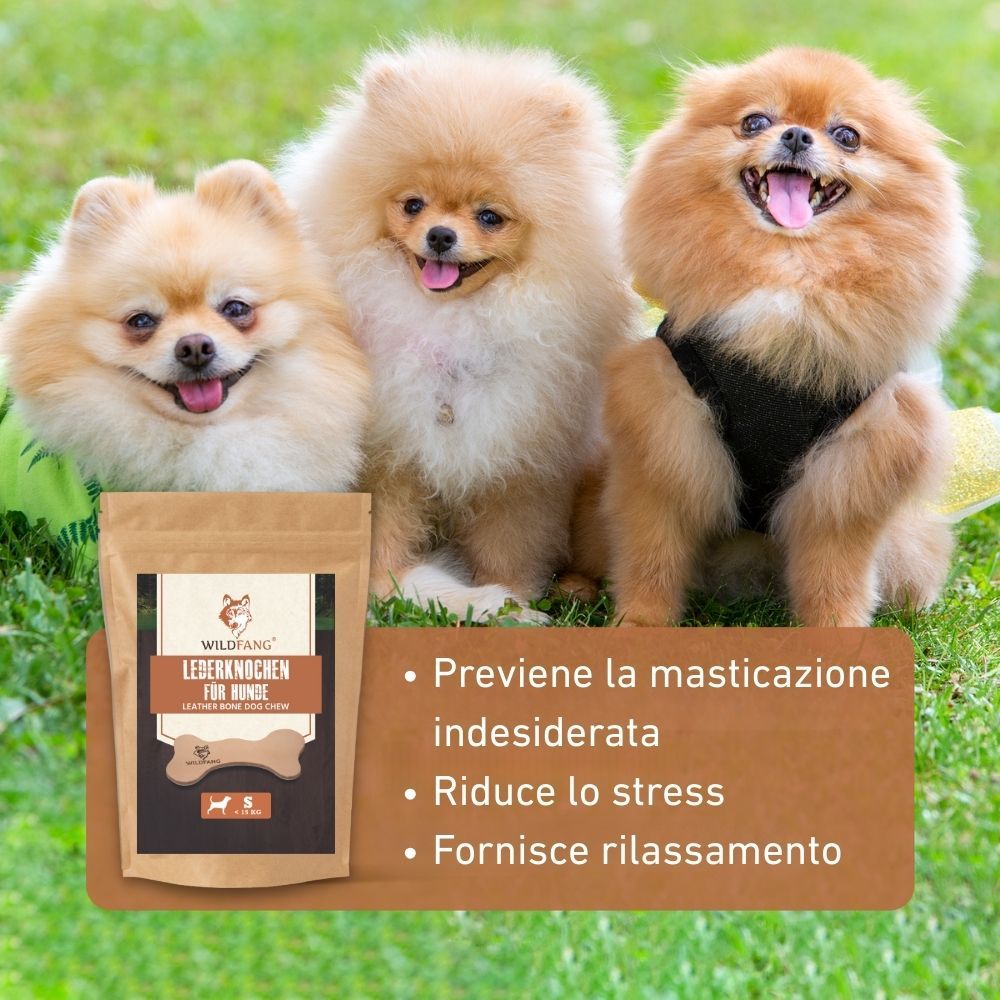 Tre cani e una confezione con ossa di cuoio. Il logo WILDFANG® è visibile sulla confezione.