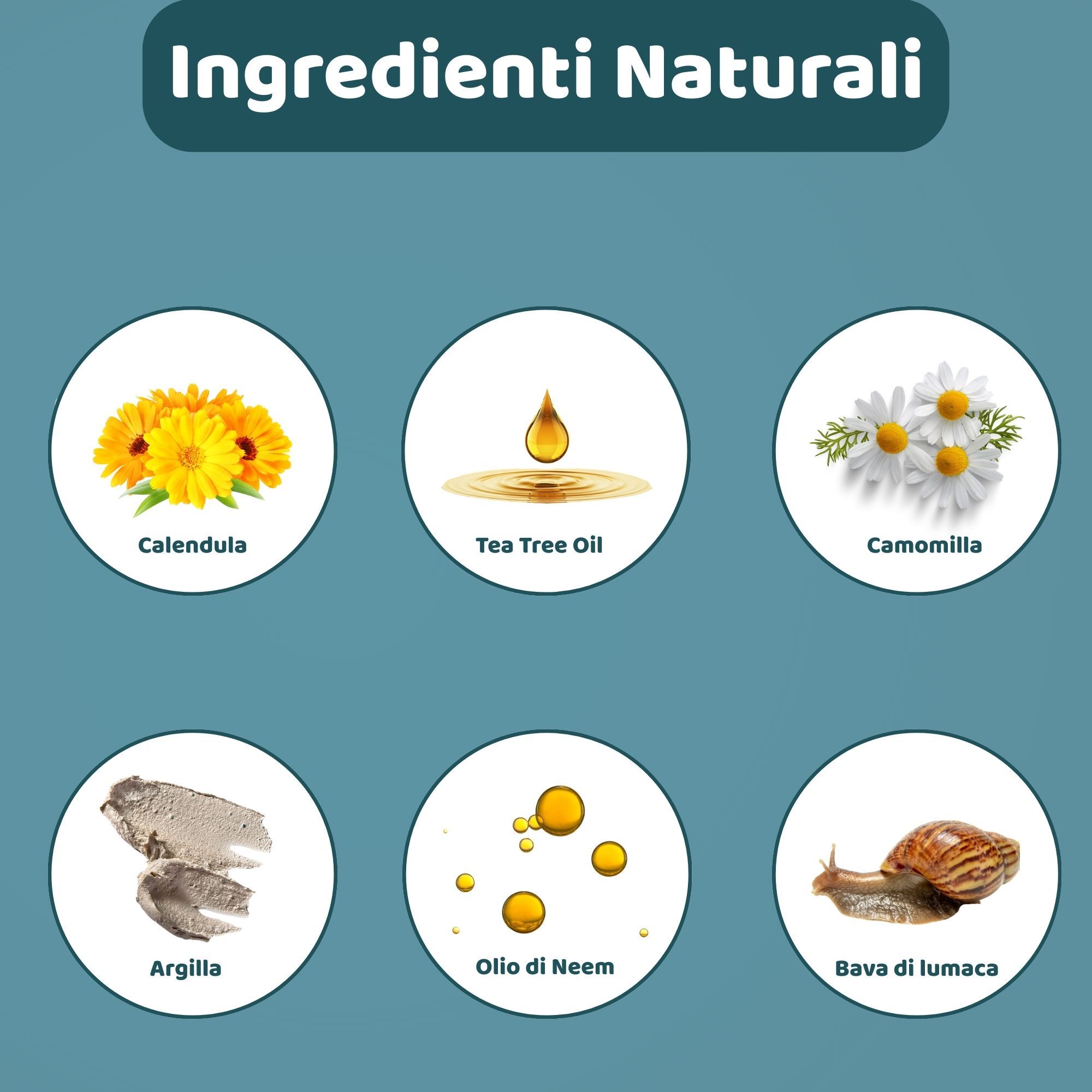 Illustrazioni circolari degli ingredienti: Calendula, Olio di Tea Tree, Camomilla, Argilla, Olio di Neem, Bava di lumaca. Testo: Ingredienti naturali.
