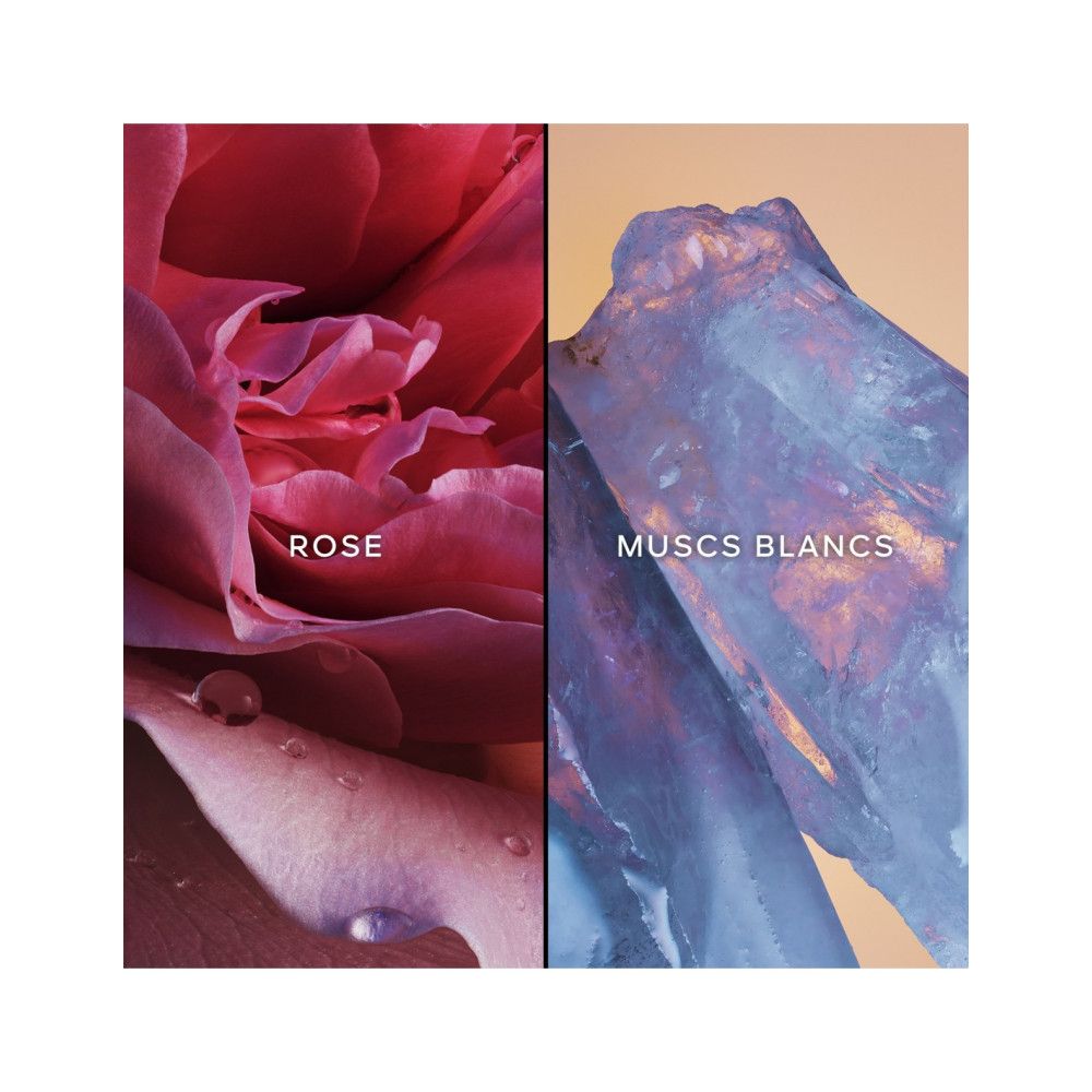 Due metà immagine. Sinistra: rosa con gocce d'acqua. Destra: cristalli. Testo: ROSE, MUSCS BLANCS.
