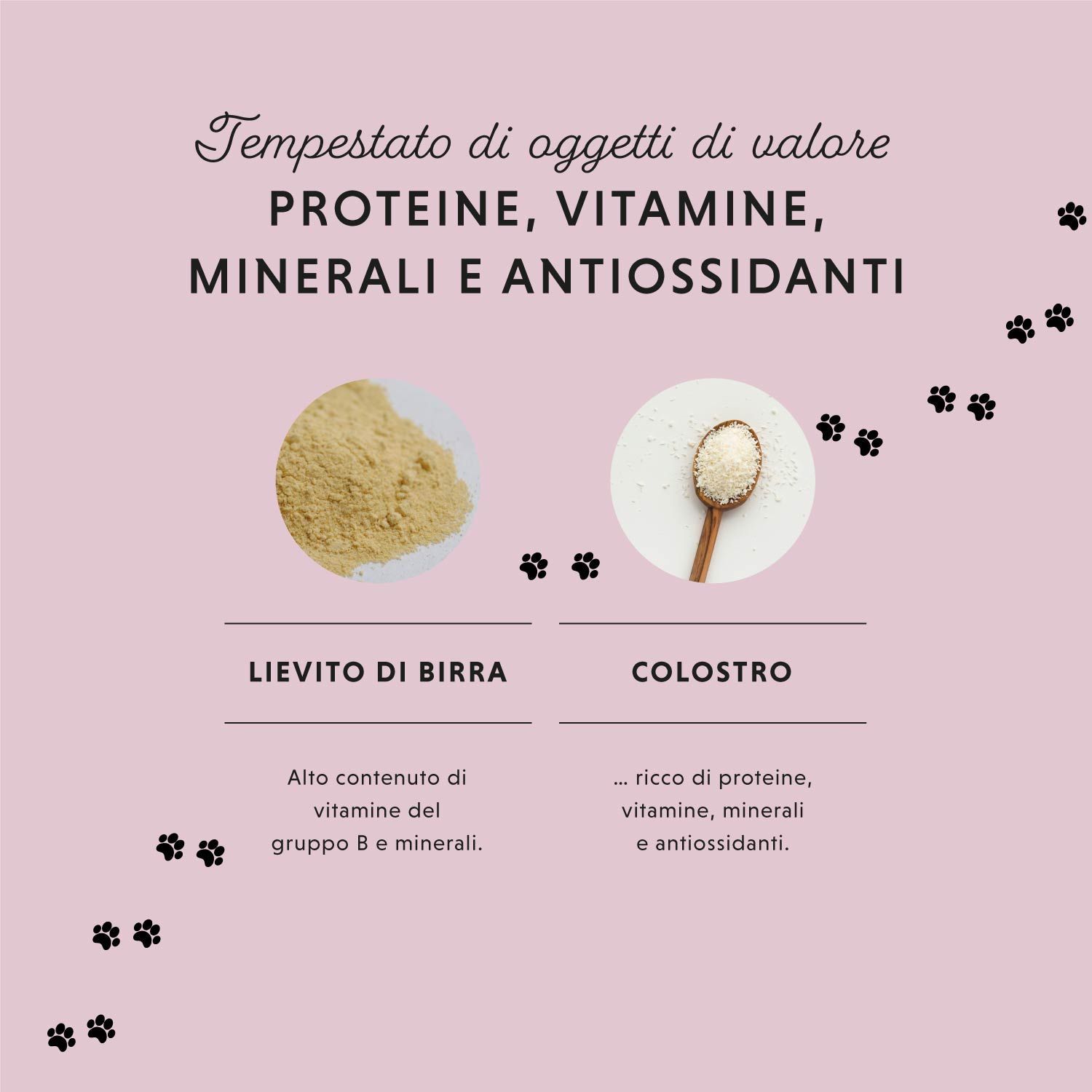 Sfondo rosa con due cerchi. Ingredienti: Lievito di Birra, Colostro. Testo: Proteine, vitamine, minerali, antiossidanti. Impronte.