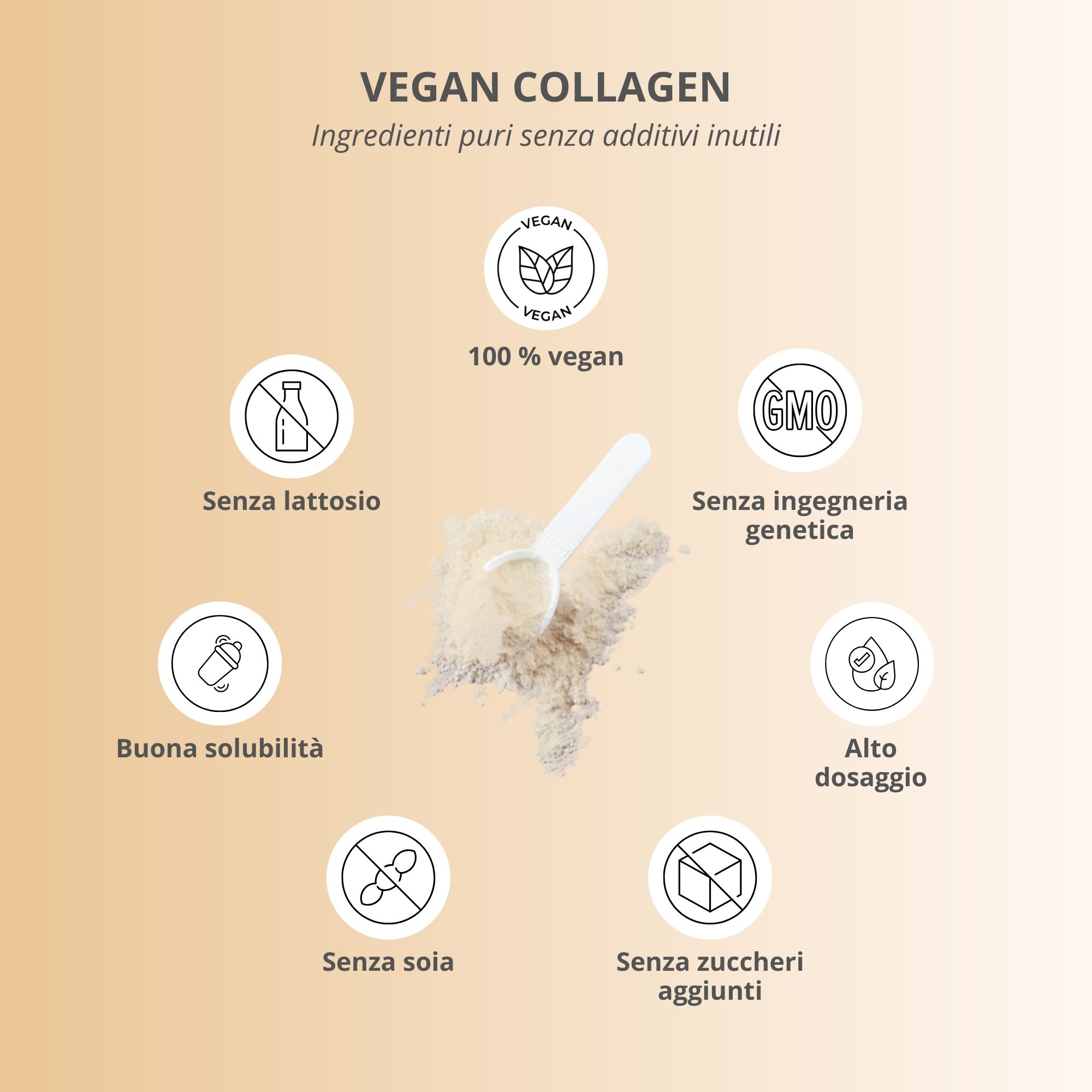 Infografica: Polvere nutri+ Vegan Collagen, 100% vegan, senza lattosio, soia, OGM, zuccheri.