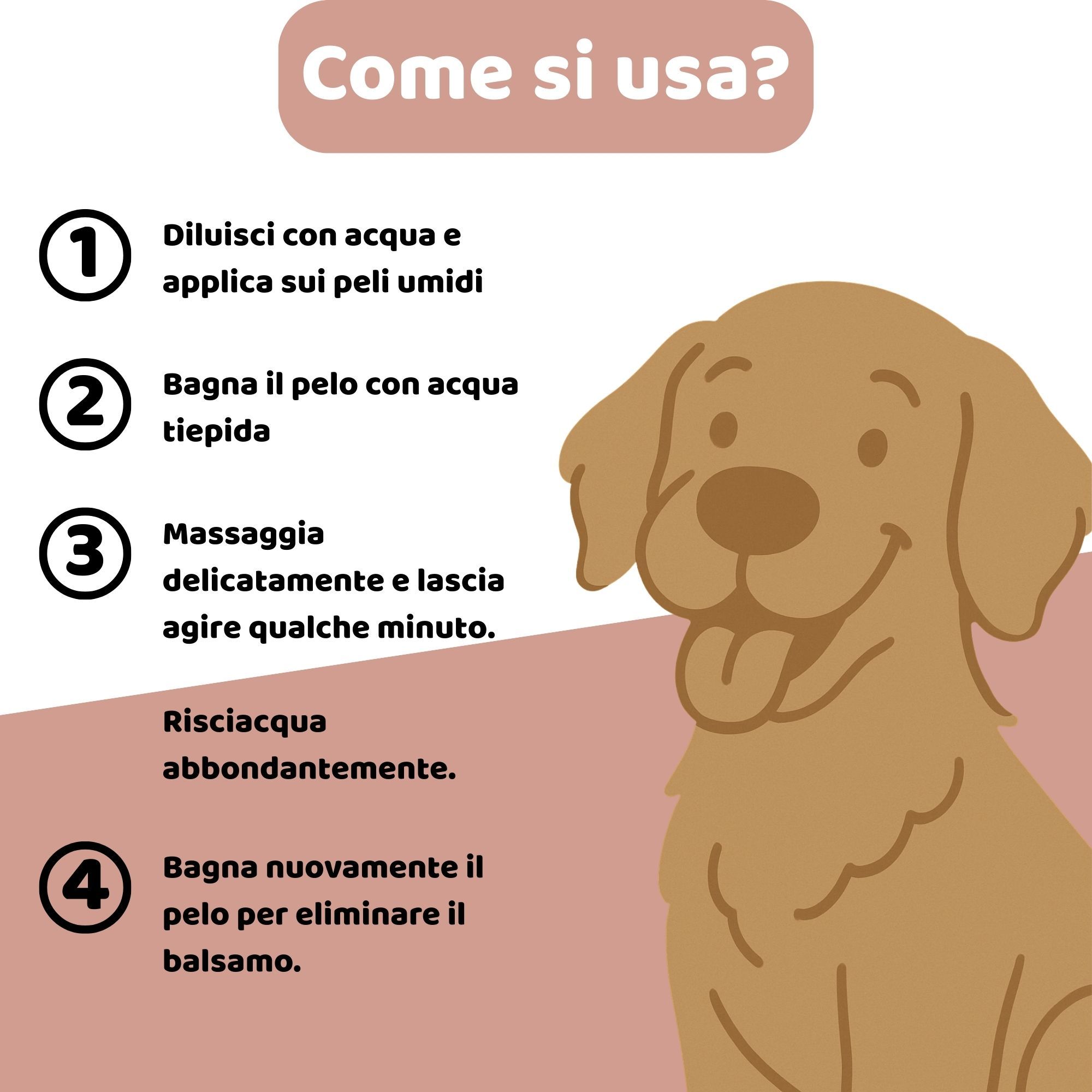 Illustrazione: cane. Testo: Come si usa? 4 passaggi: diluire con acqua, bagnare, massaggiare, risciacquare.