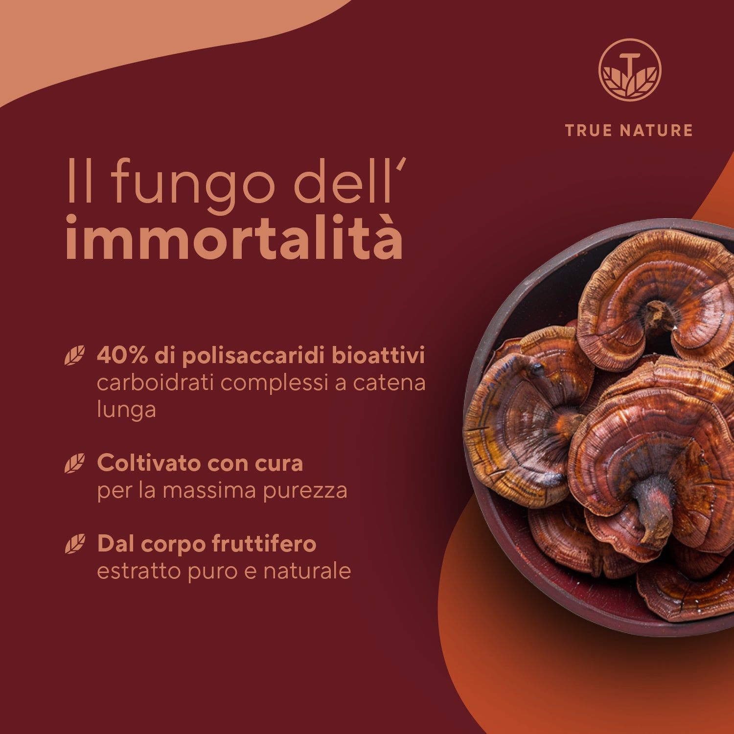 Ciotola con funghi Reishi. Testo: 40% di polisaccaridi bioattivi, coltivati con cura, dal corpo fruttifero.