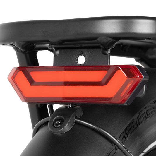 Fanale posteriore su una bicicletta. Luce rossa. Portapacchi e parafango neri.