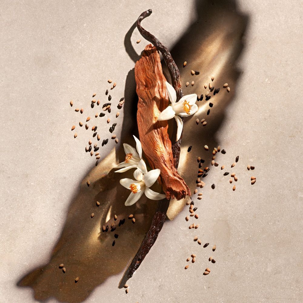 Baccello di vaniglia, fiori e semi su sfondo strutturato. Elementi naturali, primo piano.