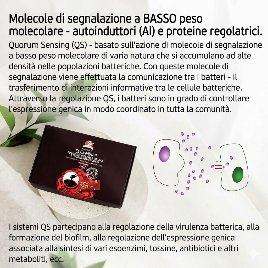 Dr. OHHIRA Estratto Fermentato di Verdure Dr. OHHIRA in Bustine
