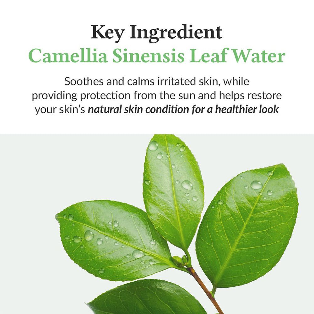 Primo piano di foglie verdi con goccioline d'acqua. Testo sull'ingrediente chiave: Camellia Sinensis Leaf Water.