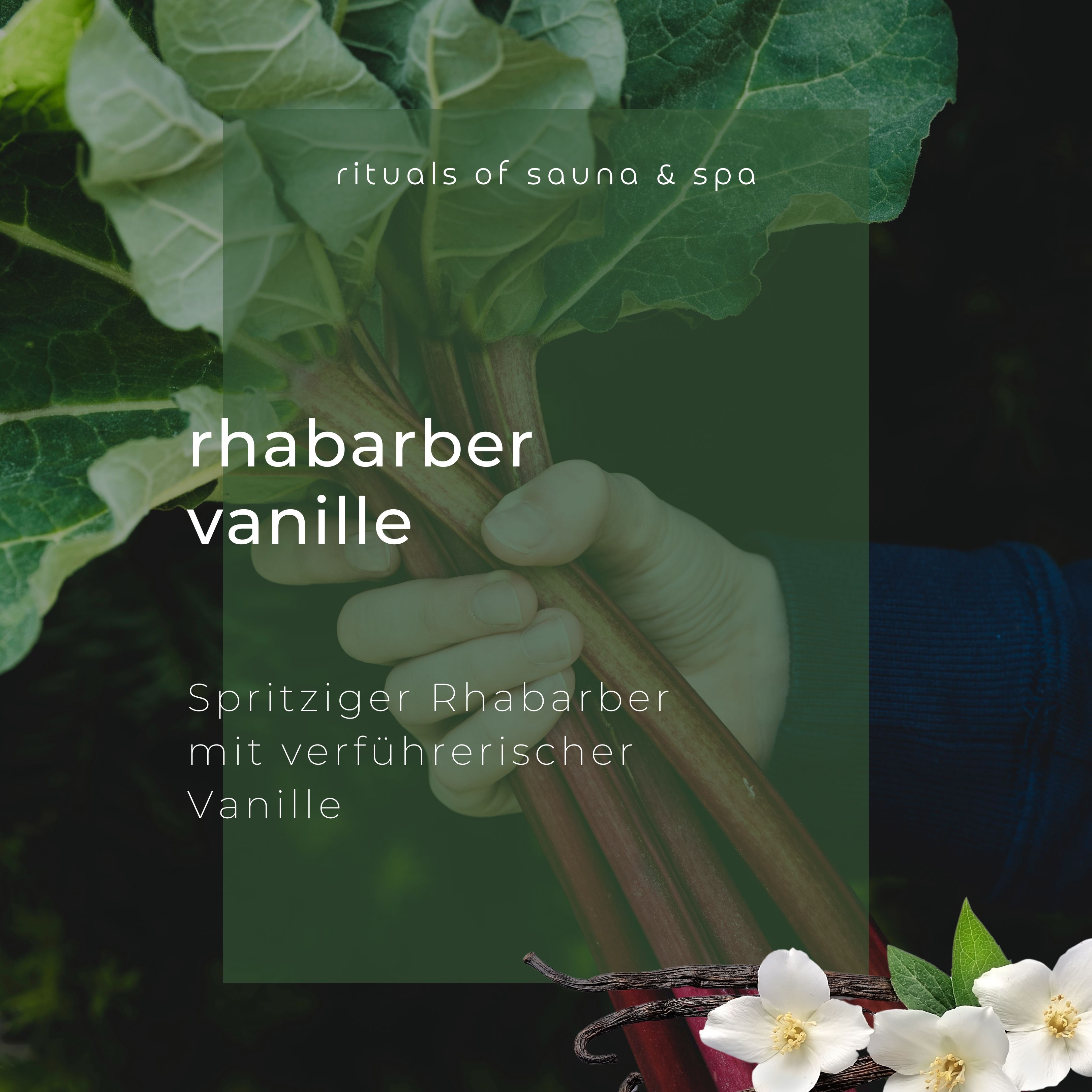 Aufguss Rabarbaro-Vaniglia. Steli di rabarbaro e baccelli di vaniglia. Testo: Rabarbaro frizzante con vaniglia seducente.