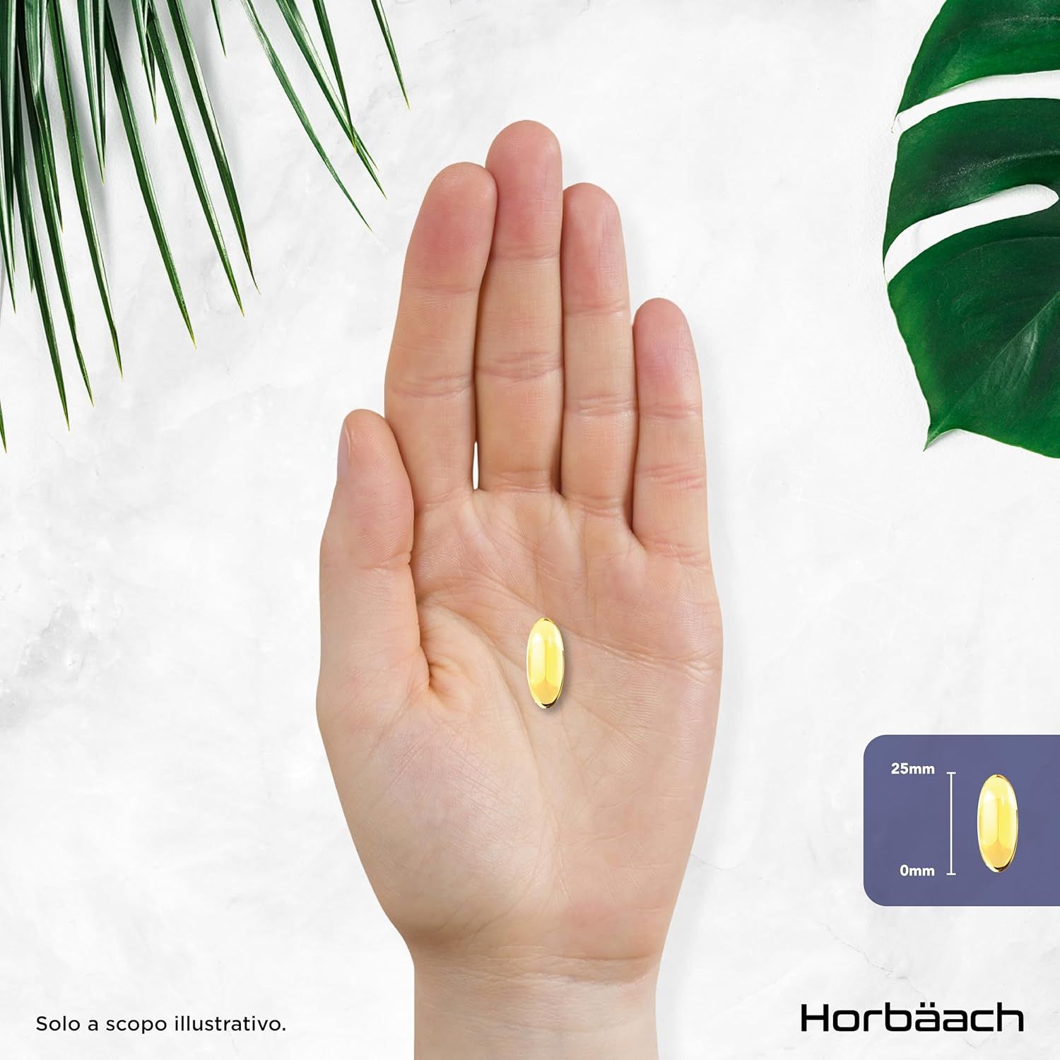 Una capsula in una mano. Accanto, uno schizzo con le dimensioni 25mm x 9mm.